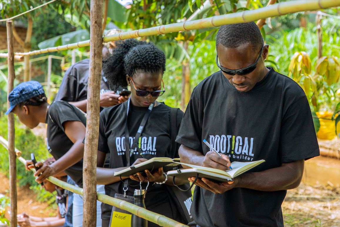 A First External Evaluation of Rootical