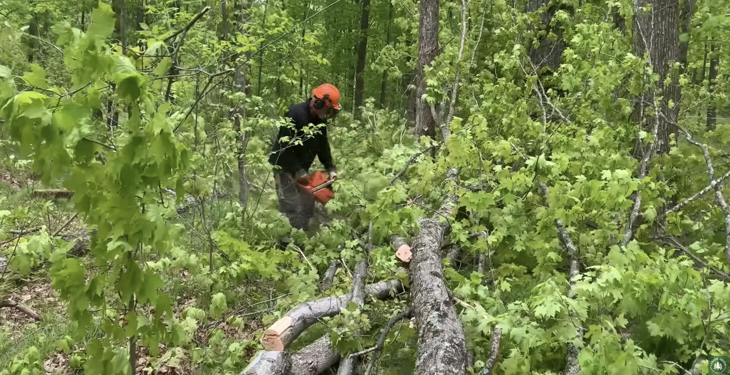 Bear Paw Firewood Round-Up 2027