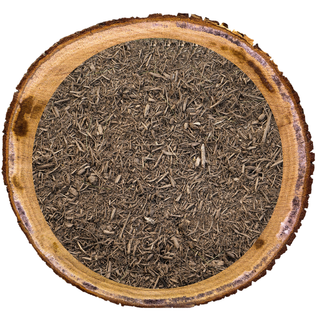 Cross-section of a tree trunk filled with soil or compost.