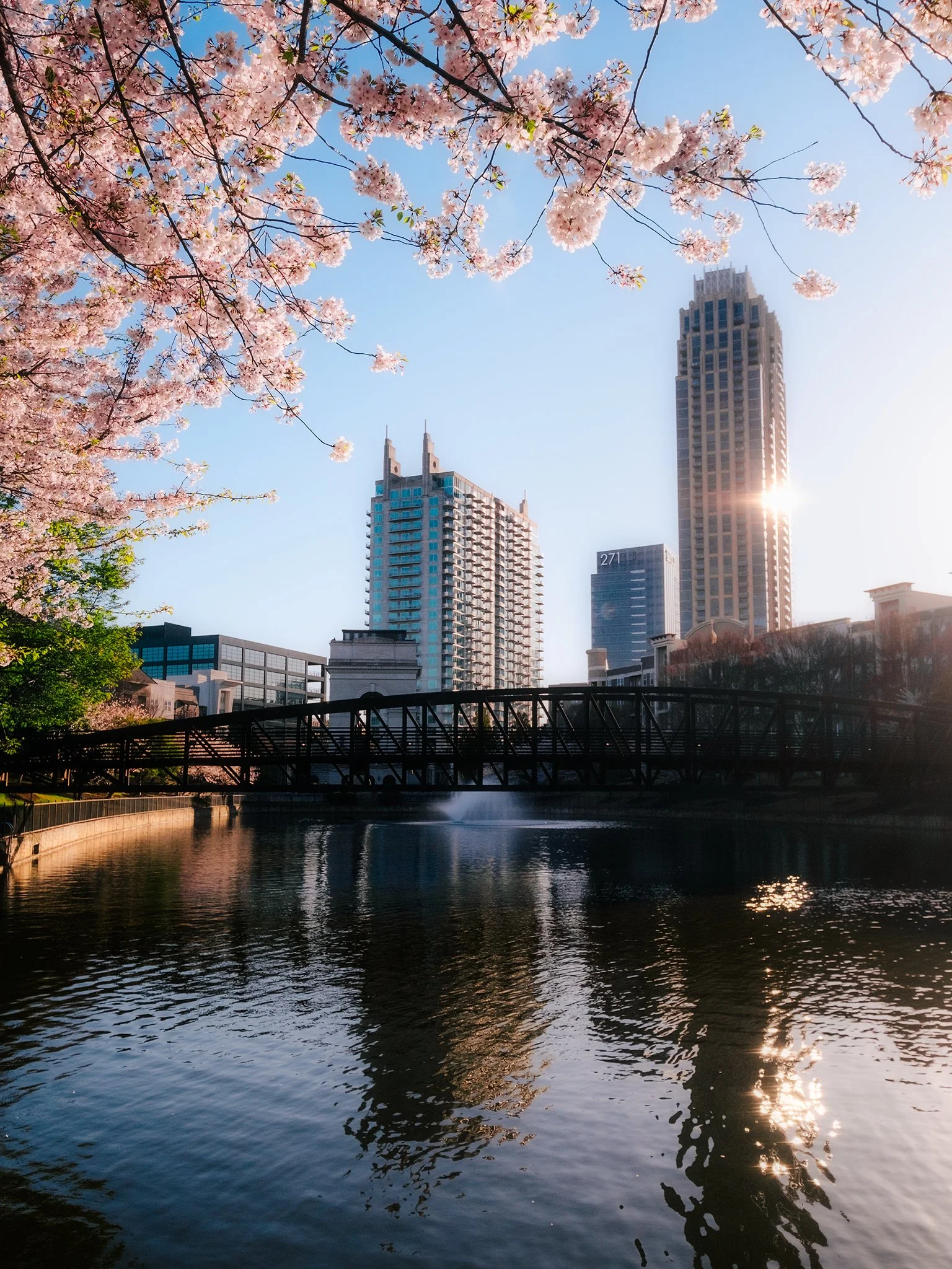 Spring morning in Midtown Atlanta