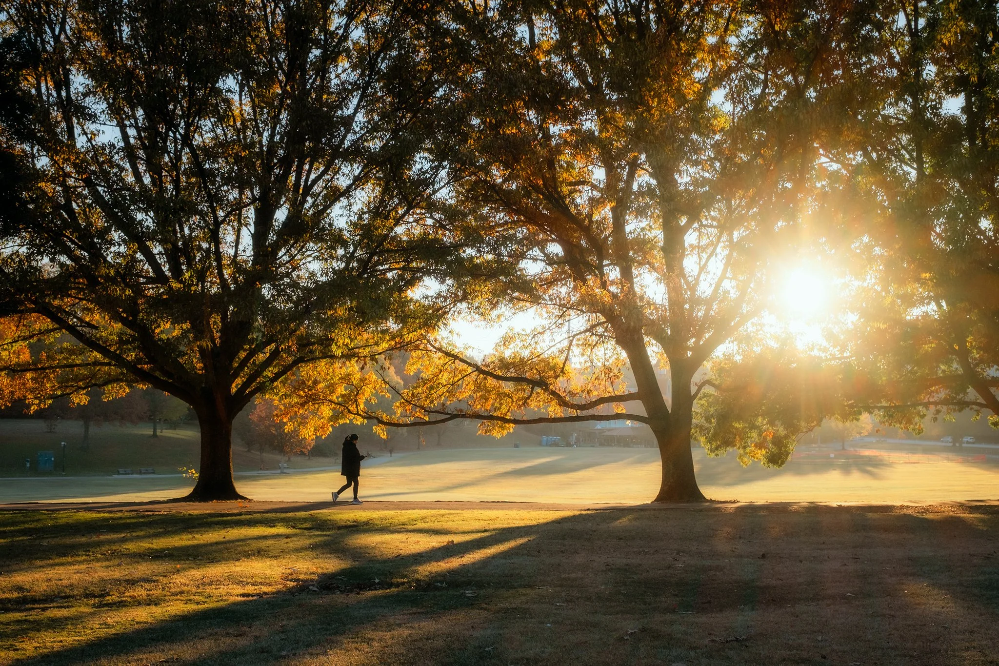 Stranger at Piedmont Park during golden hour