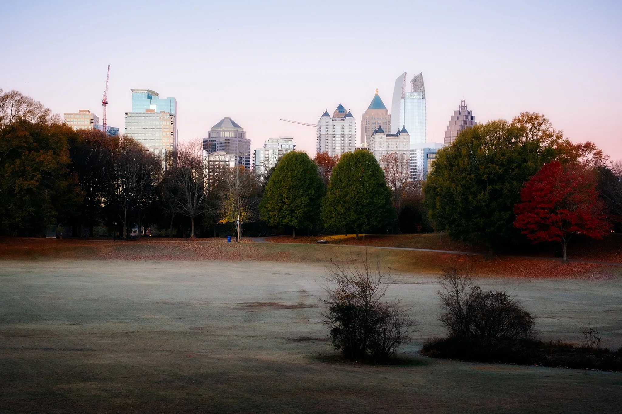 Morning light at Piedmont Park