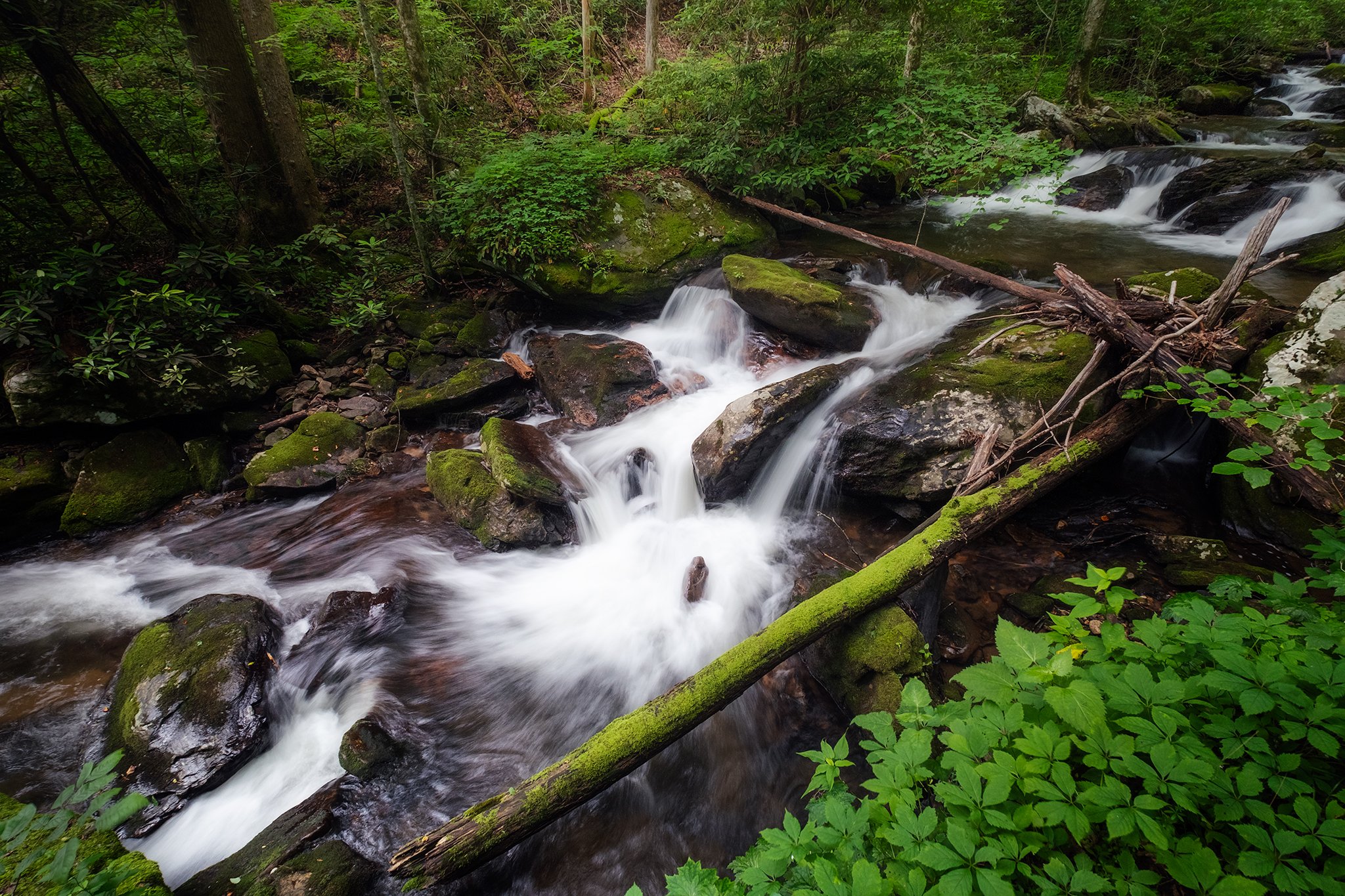 Smiths Creek flowing through the foothills of the Blue Ridge Mountains of North Georgia