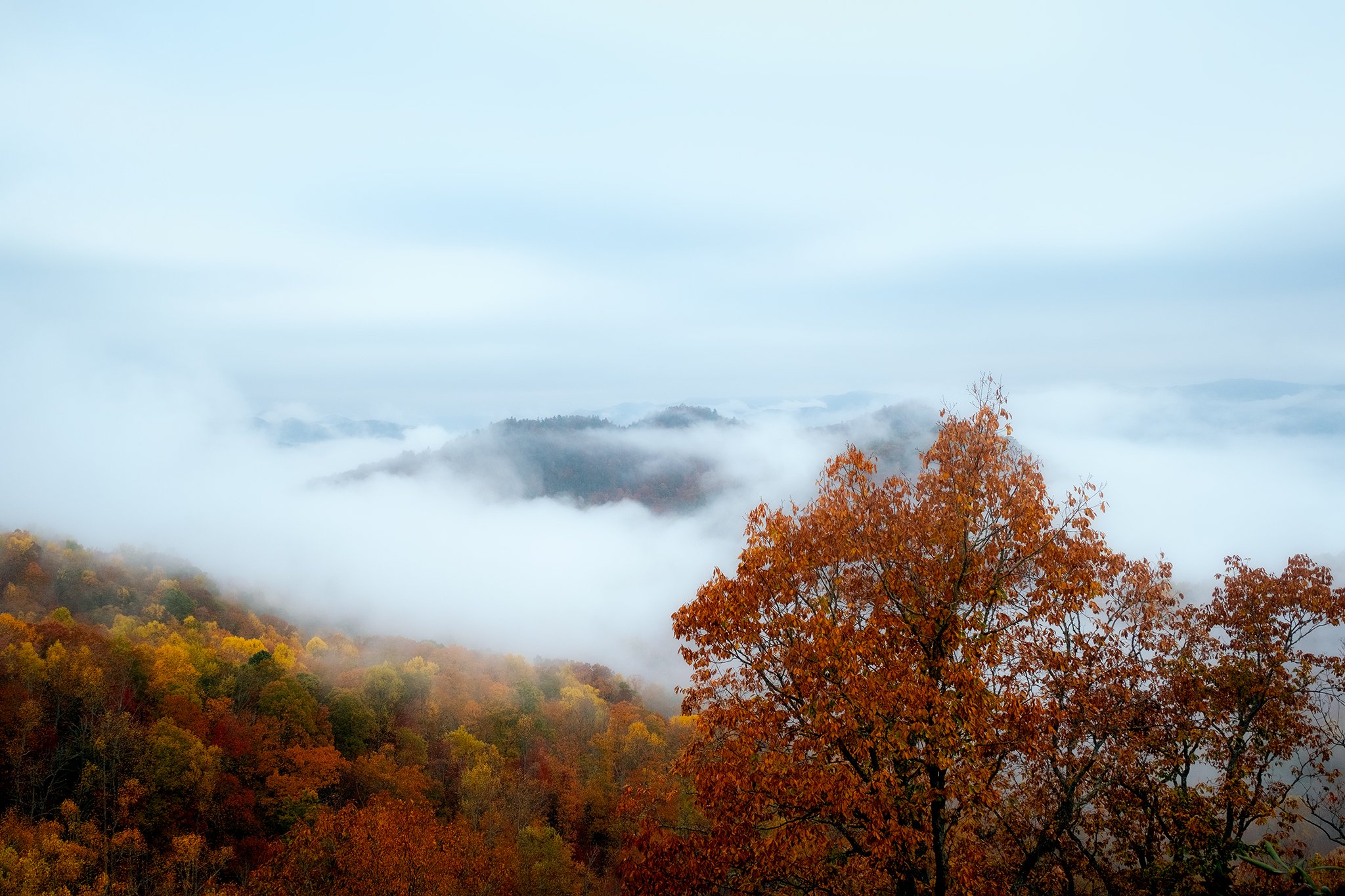 Fall-at-Black-Rock-Mountain-Ga-Series-02-[3x2]-(Web).jpg