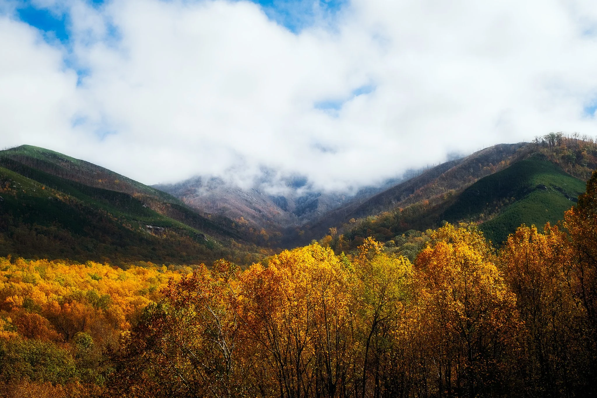 Fall-in-the-Smokies-Series-03-[3x2]-(Web).jpg