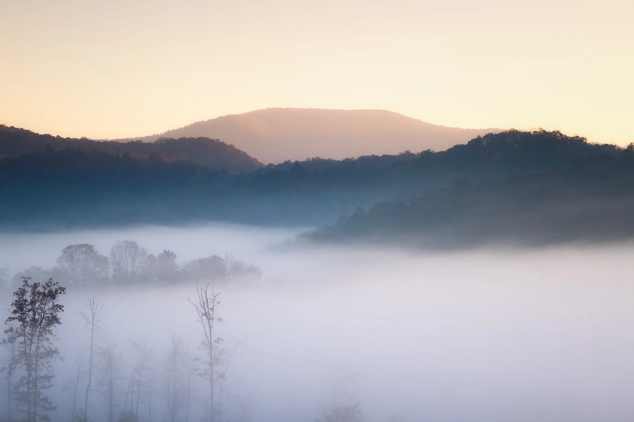 The Blue Ridge Mountains of Georgia during golden hour on a foggy morning in Suches, Georgia