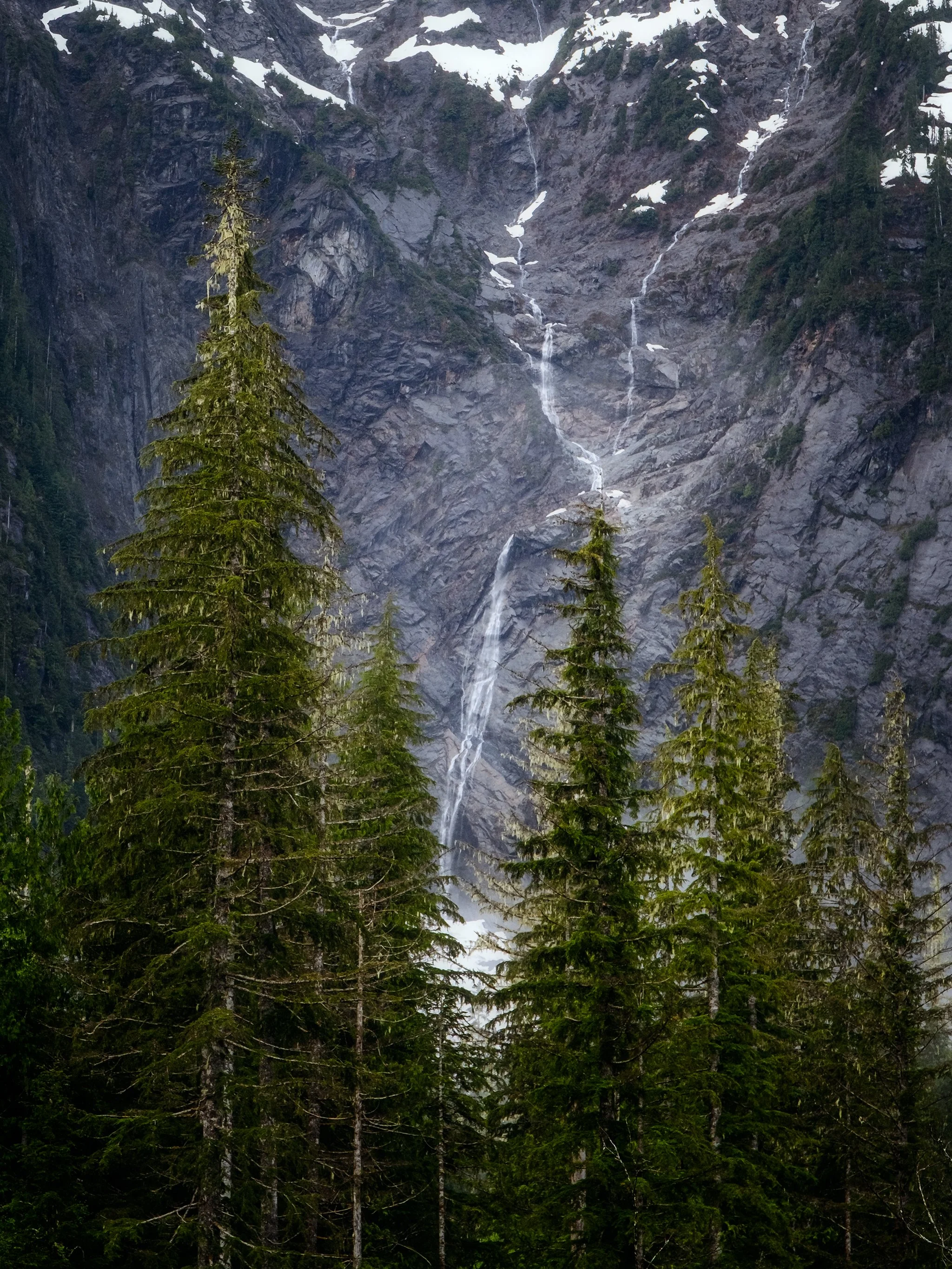 Glacial waterfall cascading of a mountainside in Mt Baker-Snoqualmie National Forest