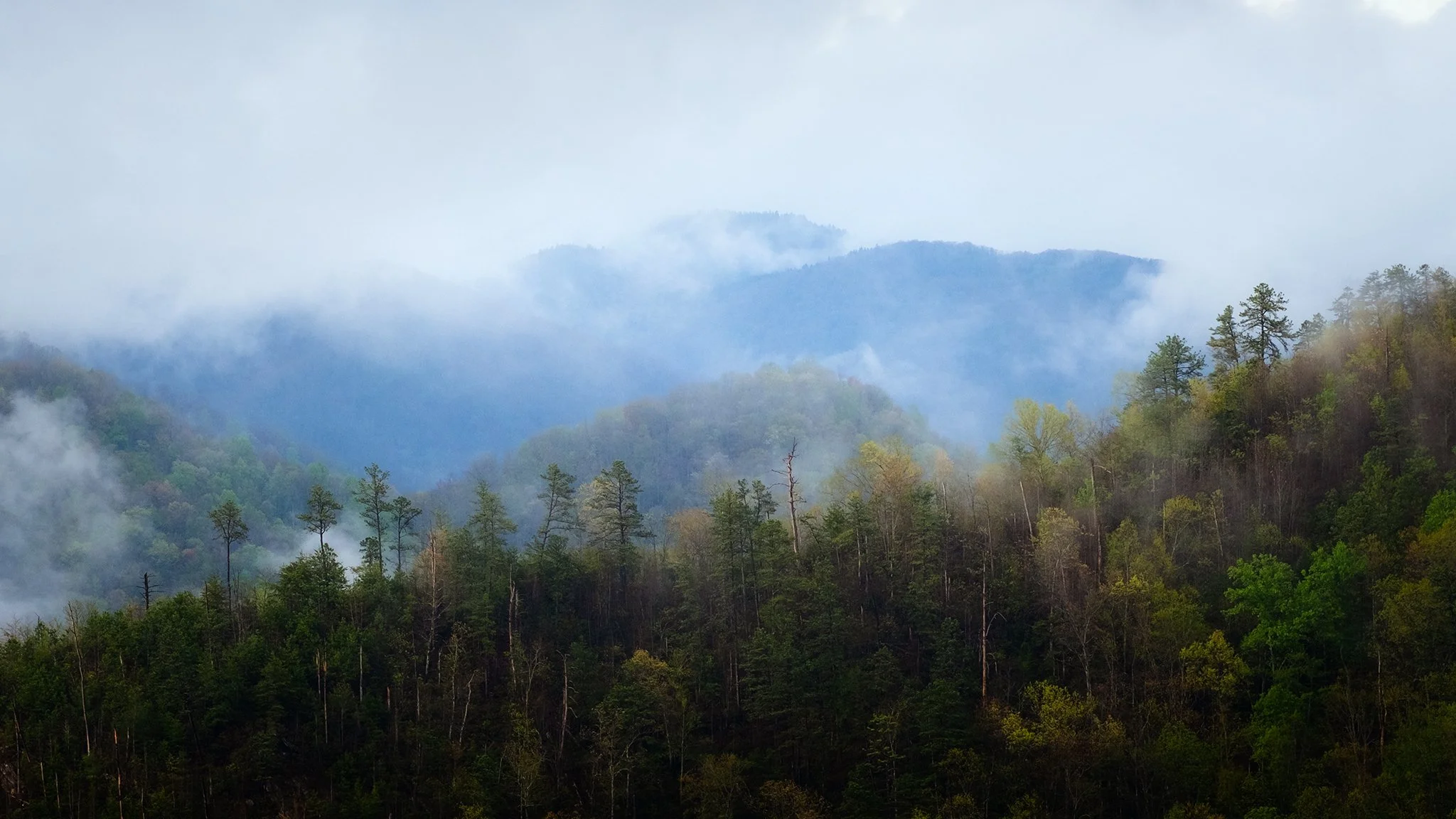 Great-Smoky-Mountains-Series-20-[16x9]-(Web).jpg