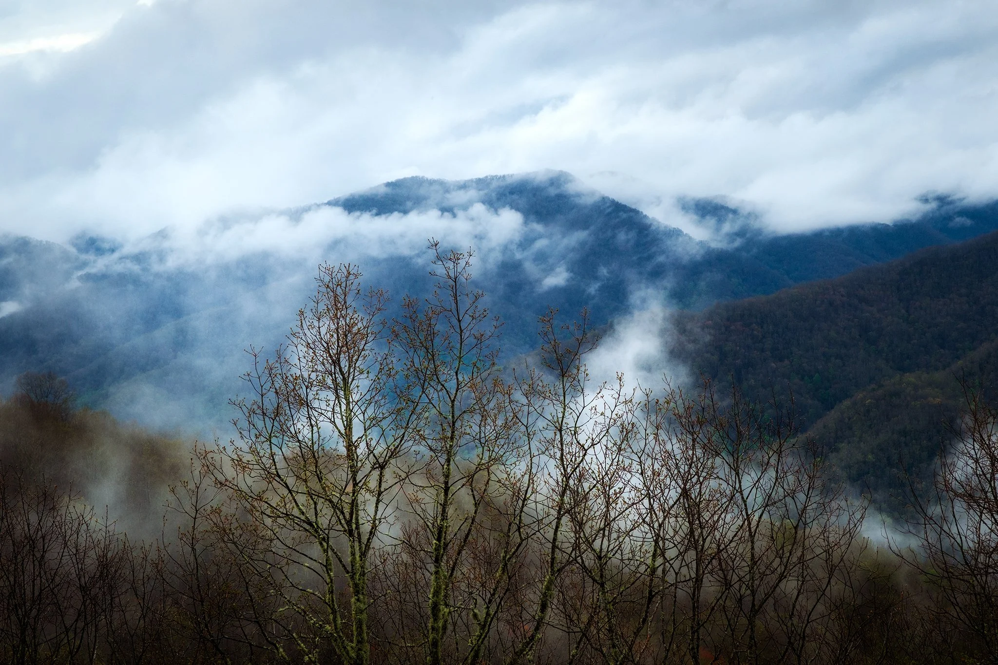 Great-Smokey-Mountains-Series-12-[3x2]-(Web).jpg