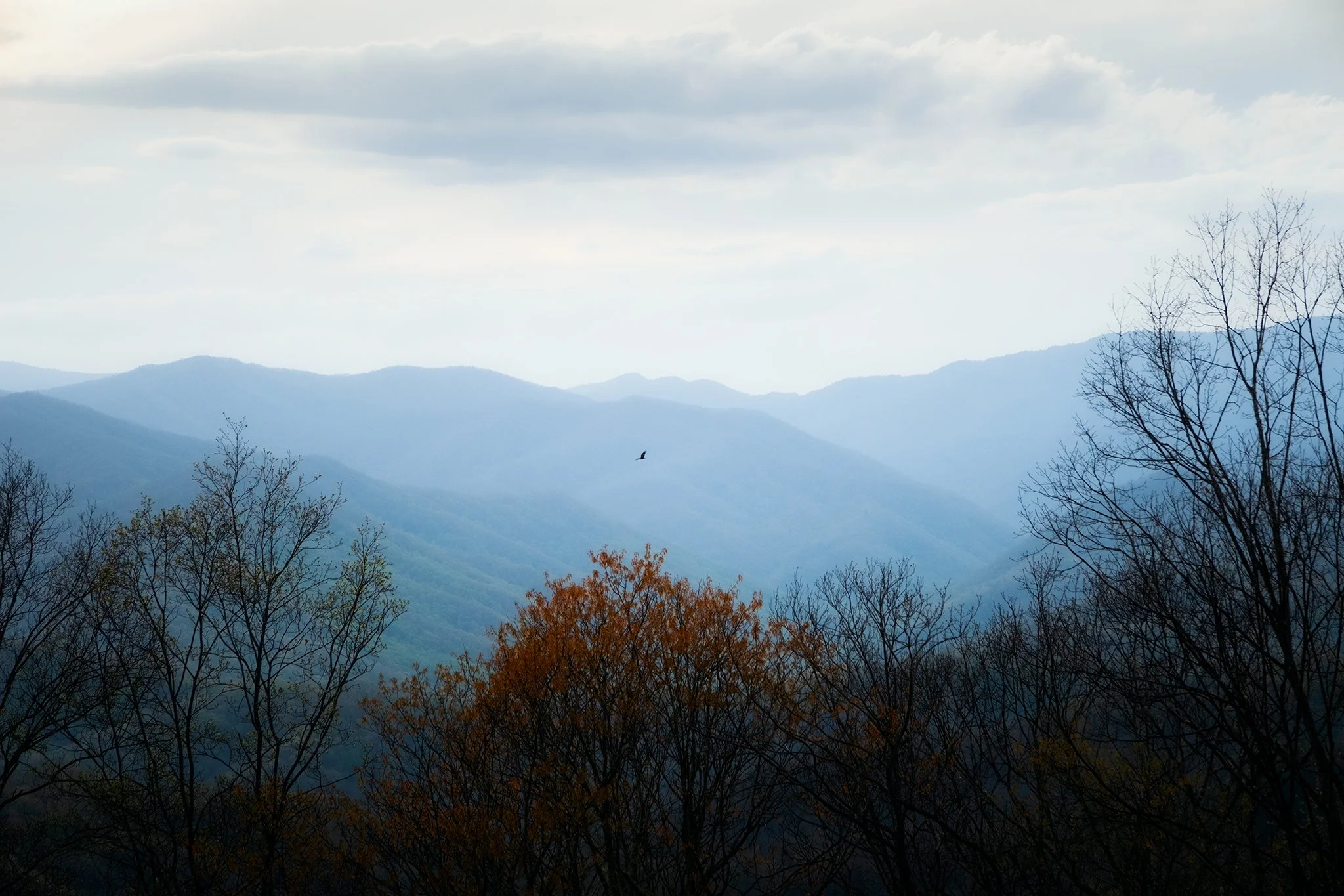 Great-Smokey-Mountains-Series-01-[3x2]-(Web).jpg