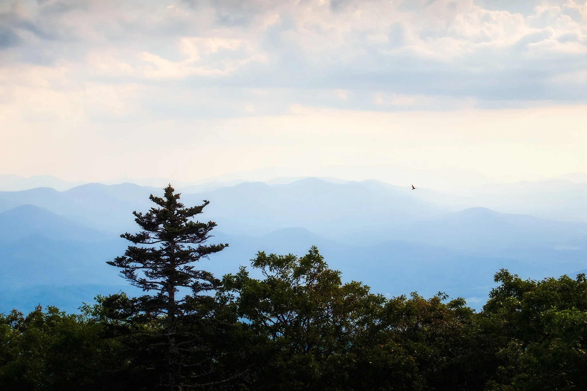 Blue-Ridge-Mountains-from-Brasstown-Bald-Series-03-[3x2]-(Web).jpg