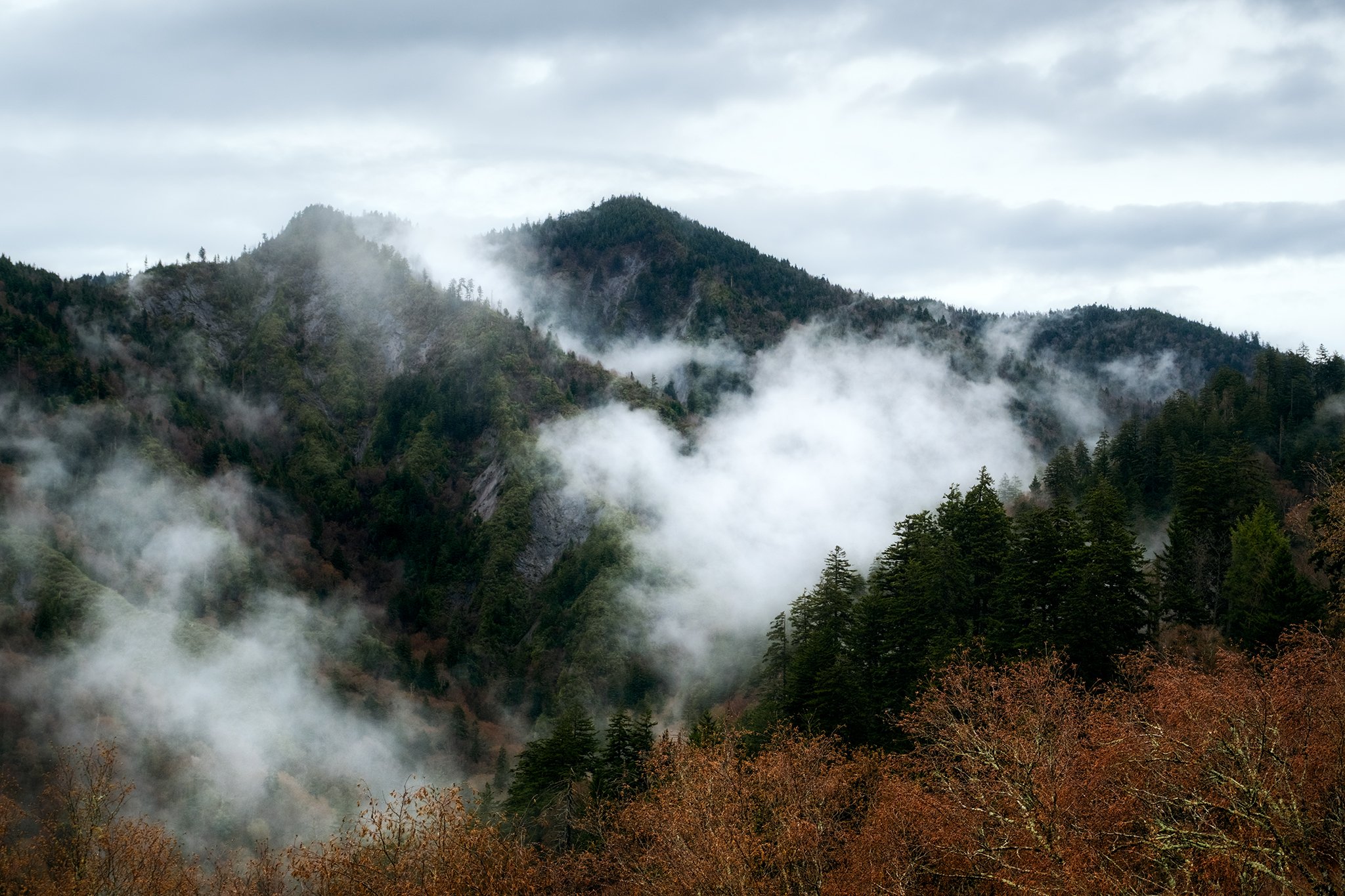 Foggy spring morning in the Smoky Mountains