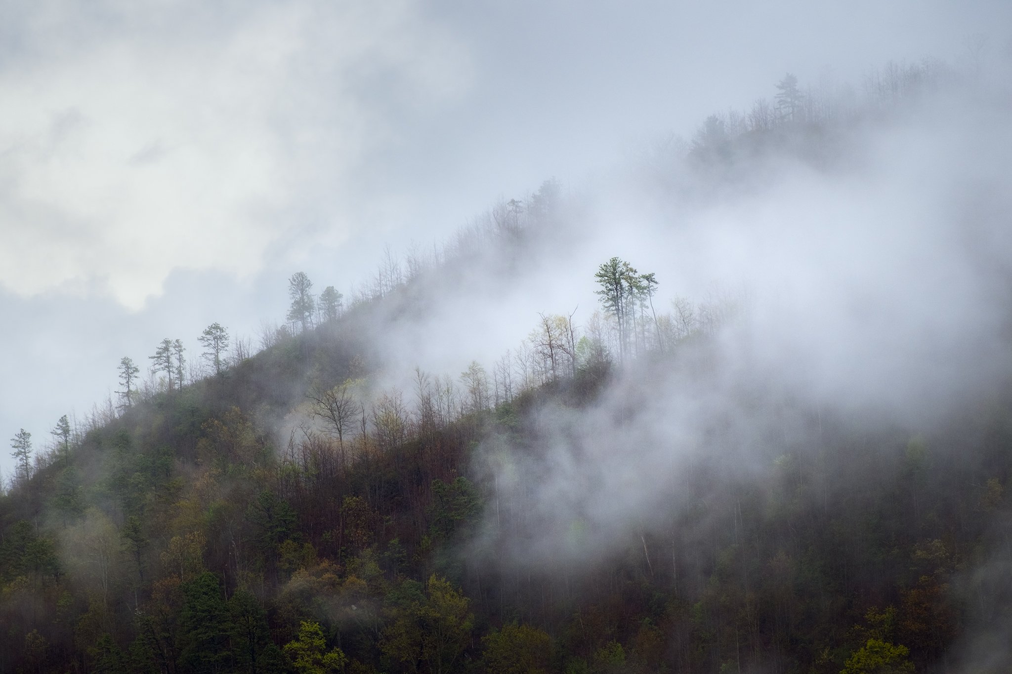 Great-Smokey-Mountains-Series-15-[3x2]-(Web).jpg
