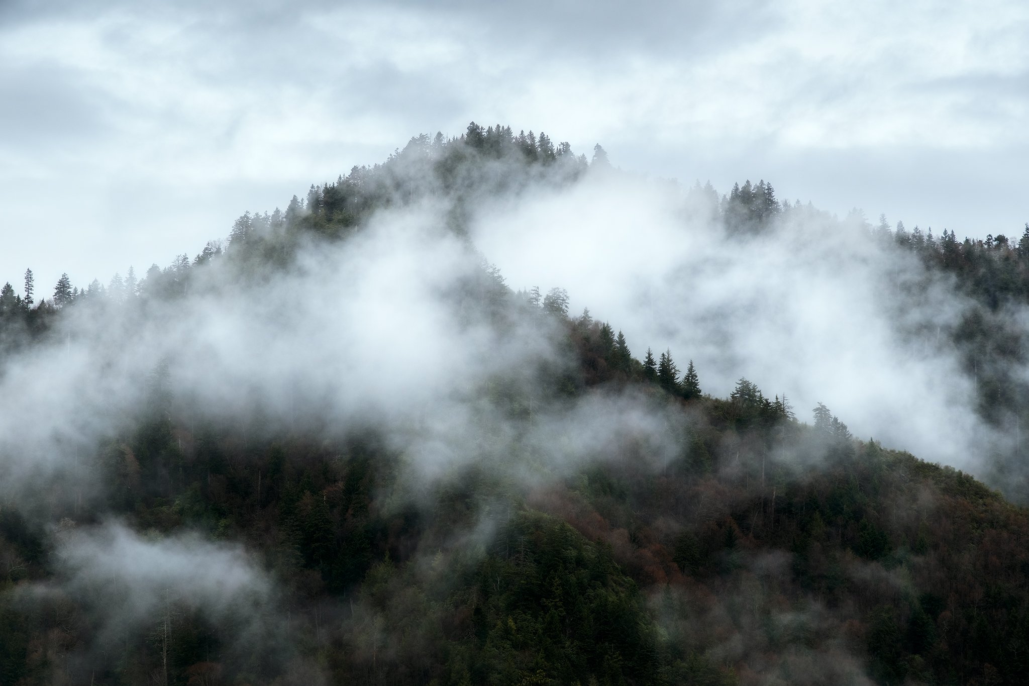 Fog breaking on the curve of a mountain in the Smokies