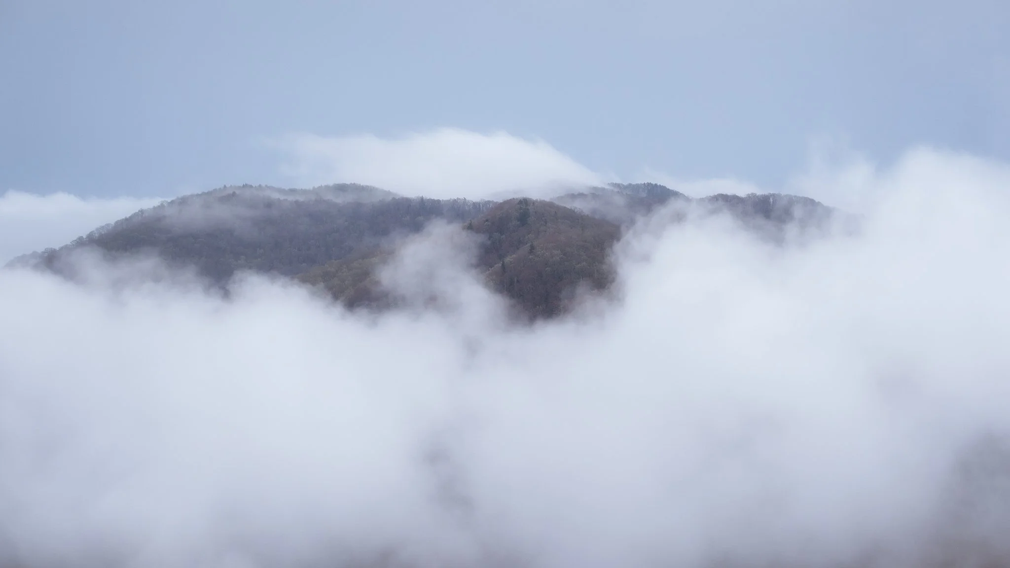 Newfound Gap surrounded by an ocean of fog