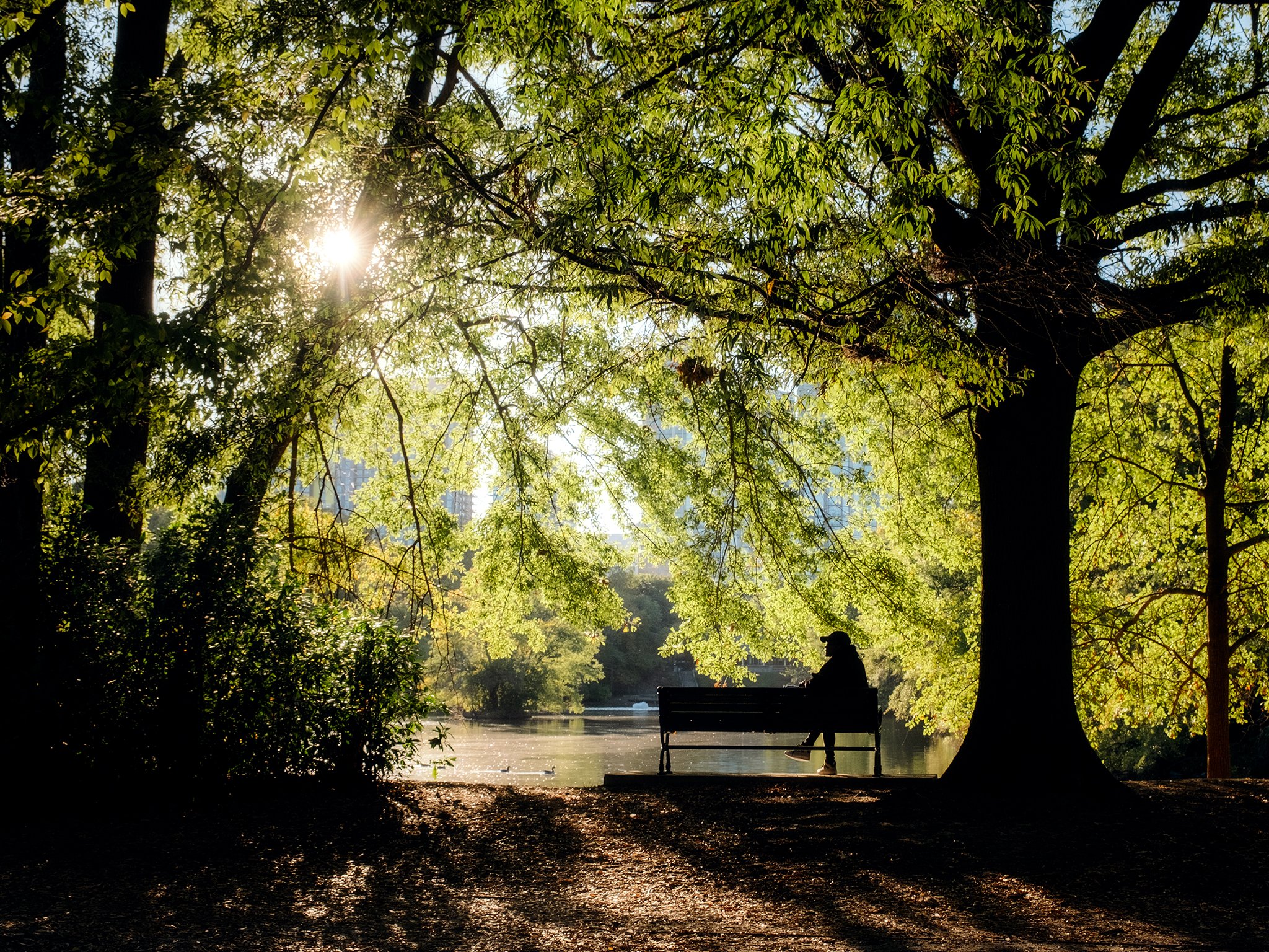 Piedmont Park on a summer day