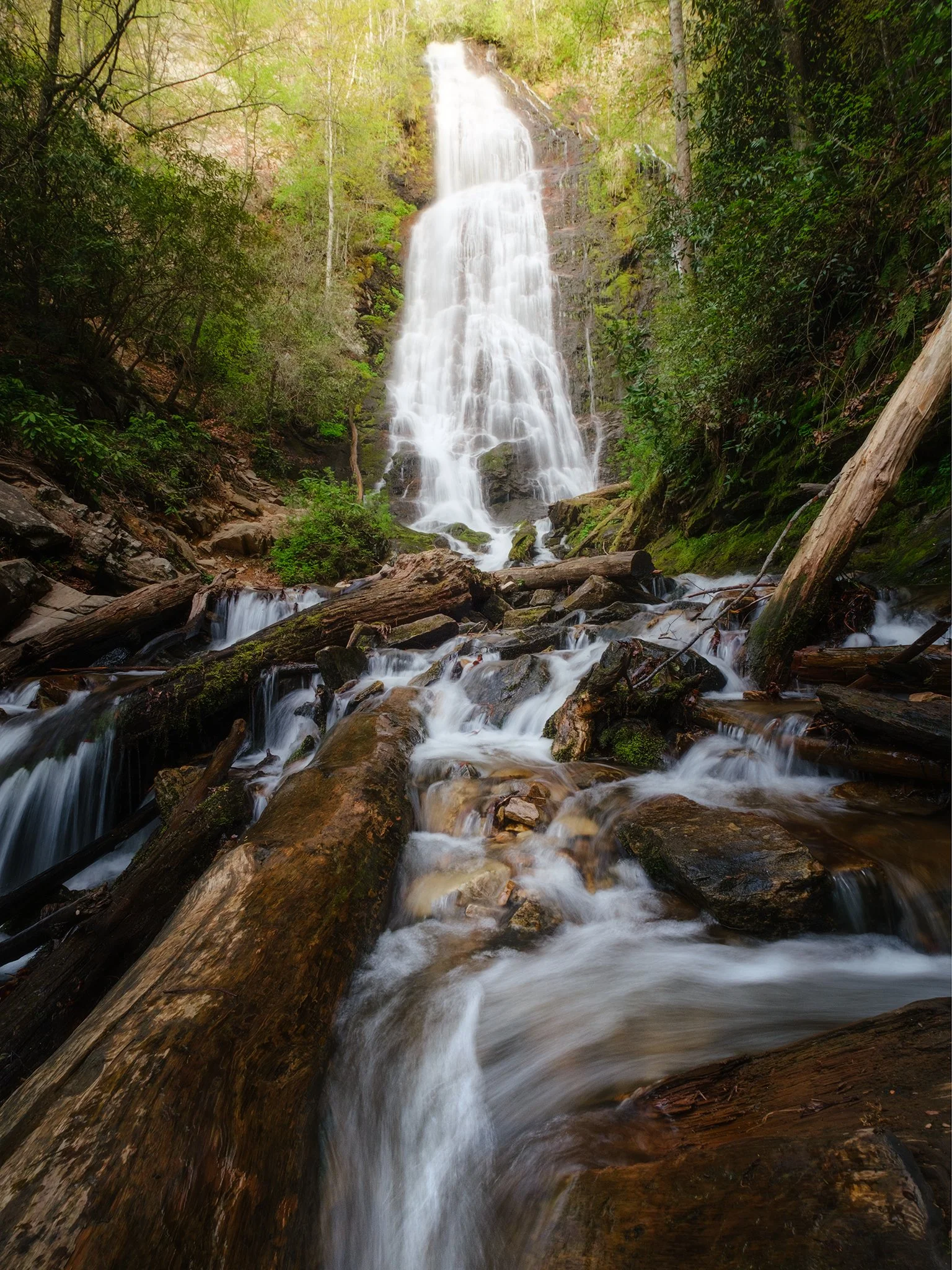 Mingo-Falls-NC-in-the-Spring-02-[4x3]-(Web).jpg