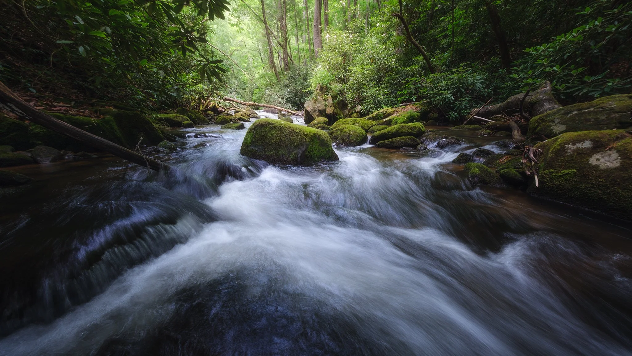 Moccasin Creek in Hiawassee, Georgia 