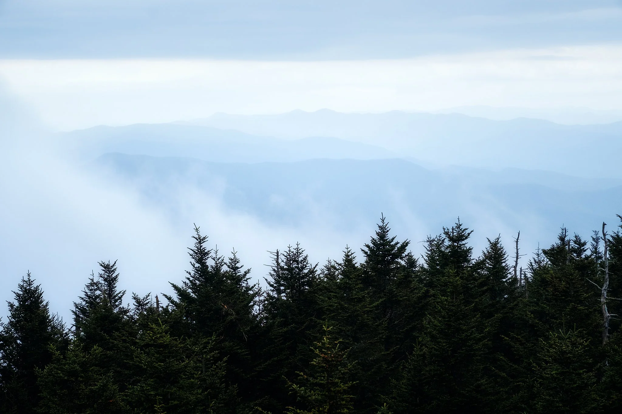 Layers of the Smoky Mountains from Kuwohi (Clingman's Dome)