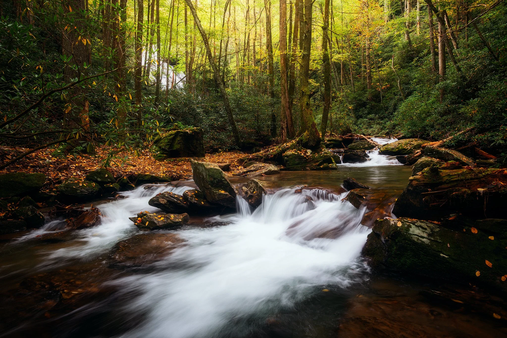 High-Shoals-Falls-Series-02-[3x2].jpg