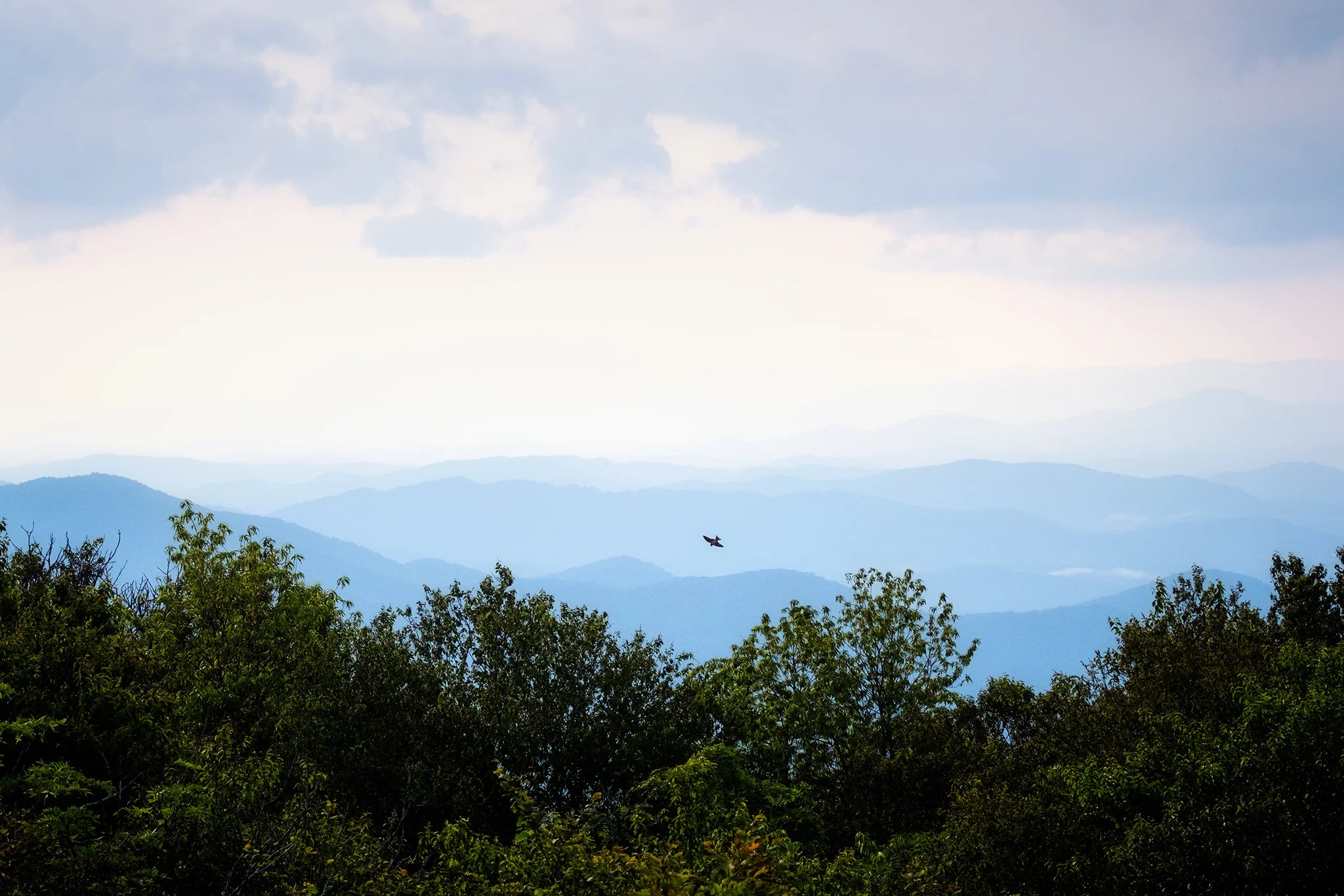 Blue-Ridge-Mountains-from-Brasstown-Bald-Series-04-[3x2]-(Web).jpg