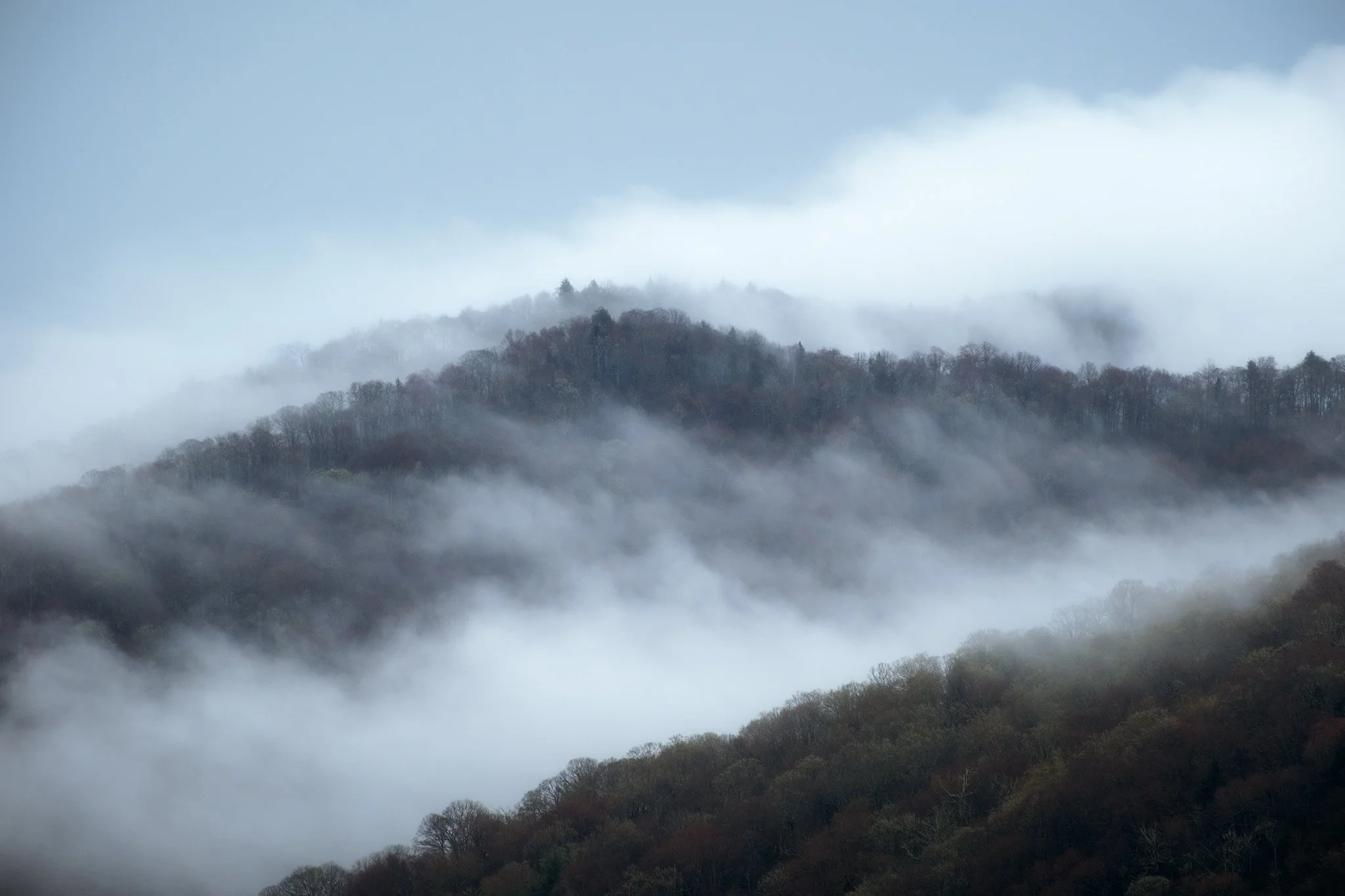 Newfound Gap on a foggy morning