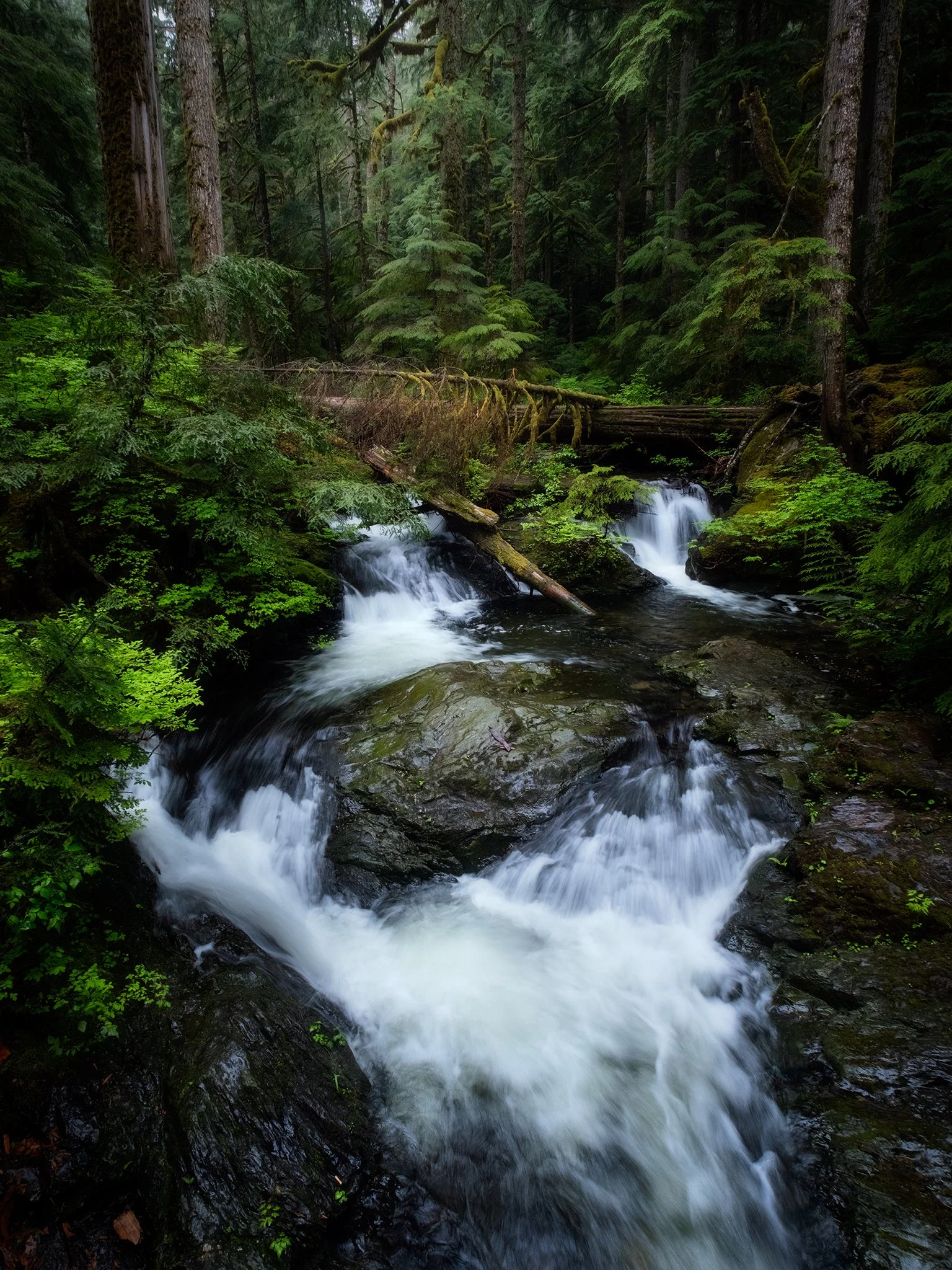 Waterfall-at-Lake-Twenty-Two-Washington--[4x3]-(Web).jpg