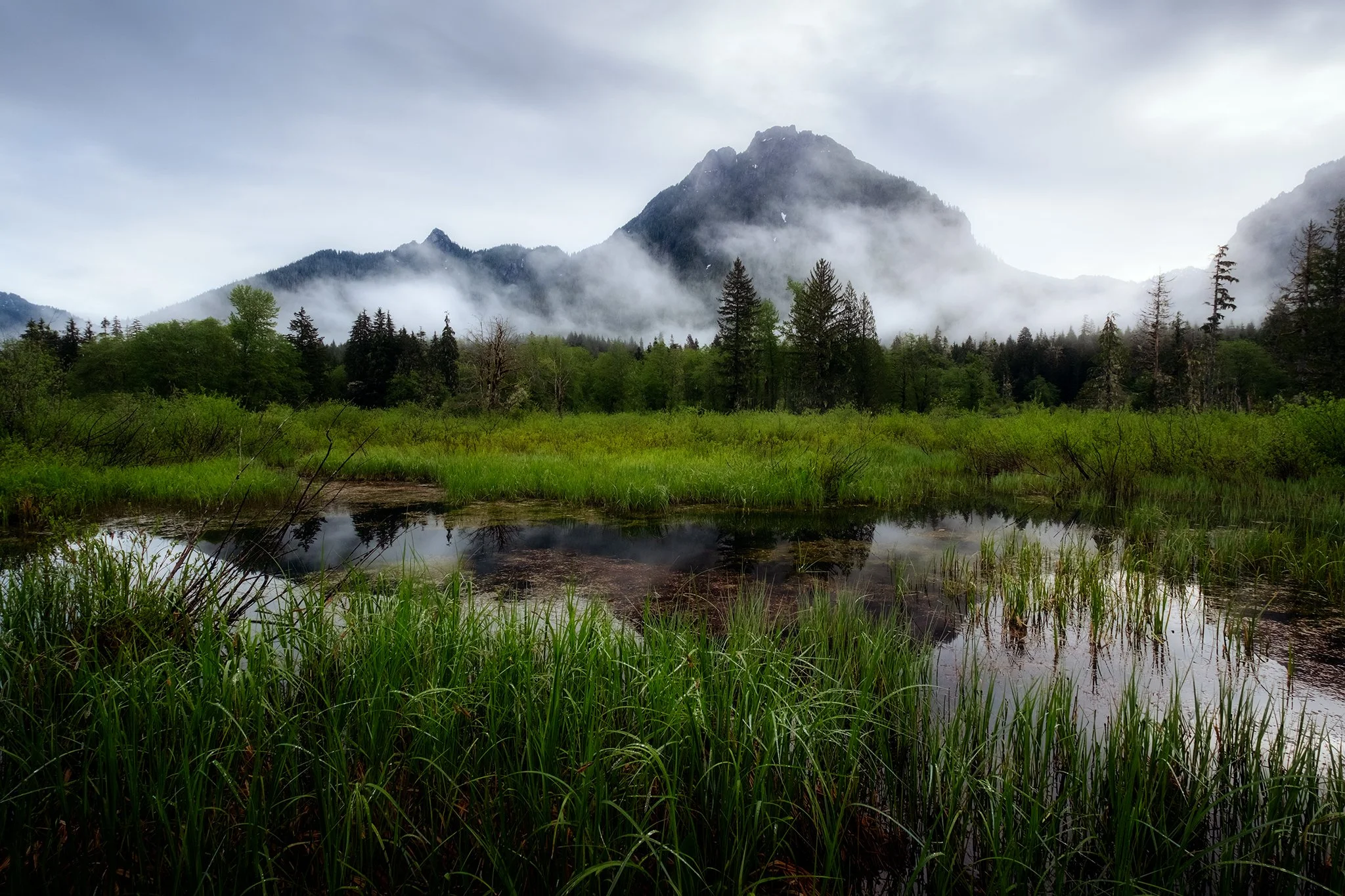 Mount Dickerman shrouded in mist at Big Four Ice Caves in Mount Baker Snoqualmie National Forest 