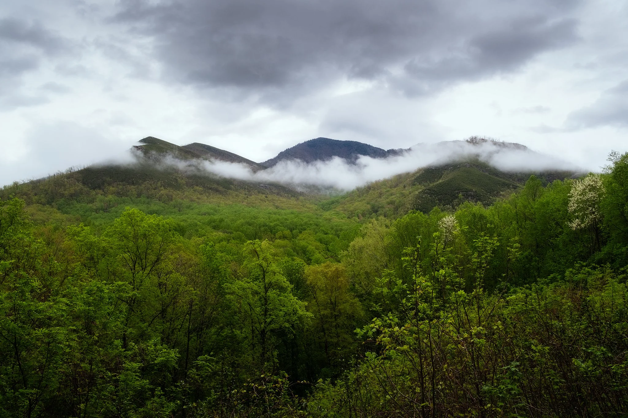 Great-Smoky-Mountains-Series-18-[3x2]-(Web).jpg
