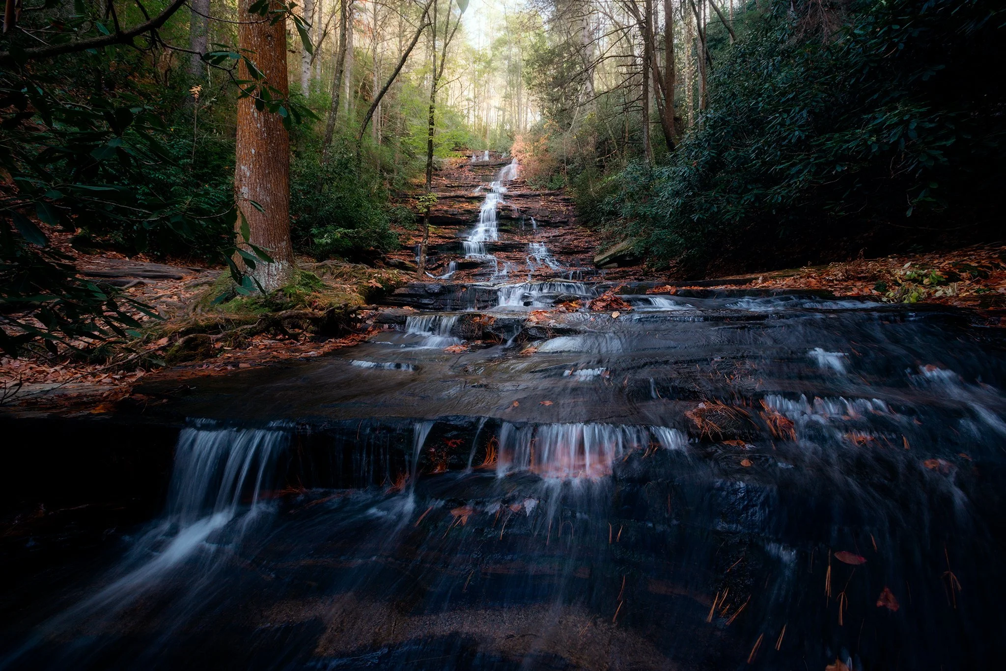 Golden hour at Minnehaha Falls in the Chattahoochee-Oconee National Forest