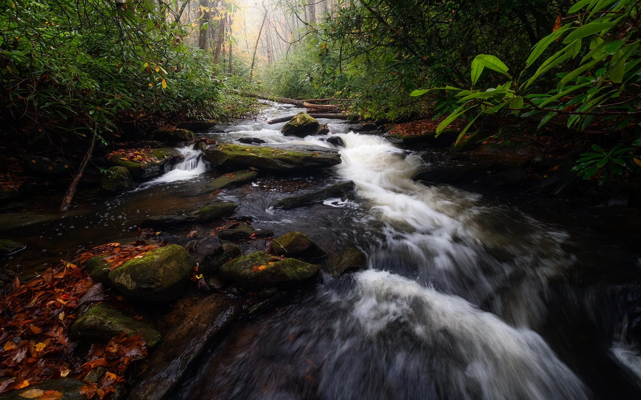Mud Creek in Rabun Georgia on a foggy morning