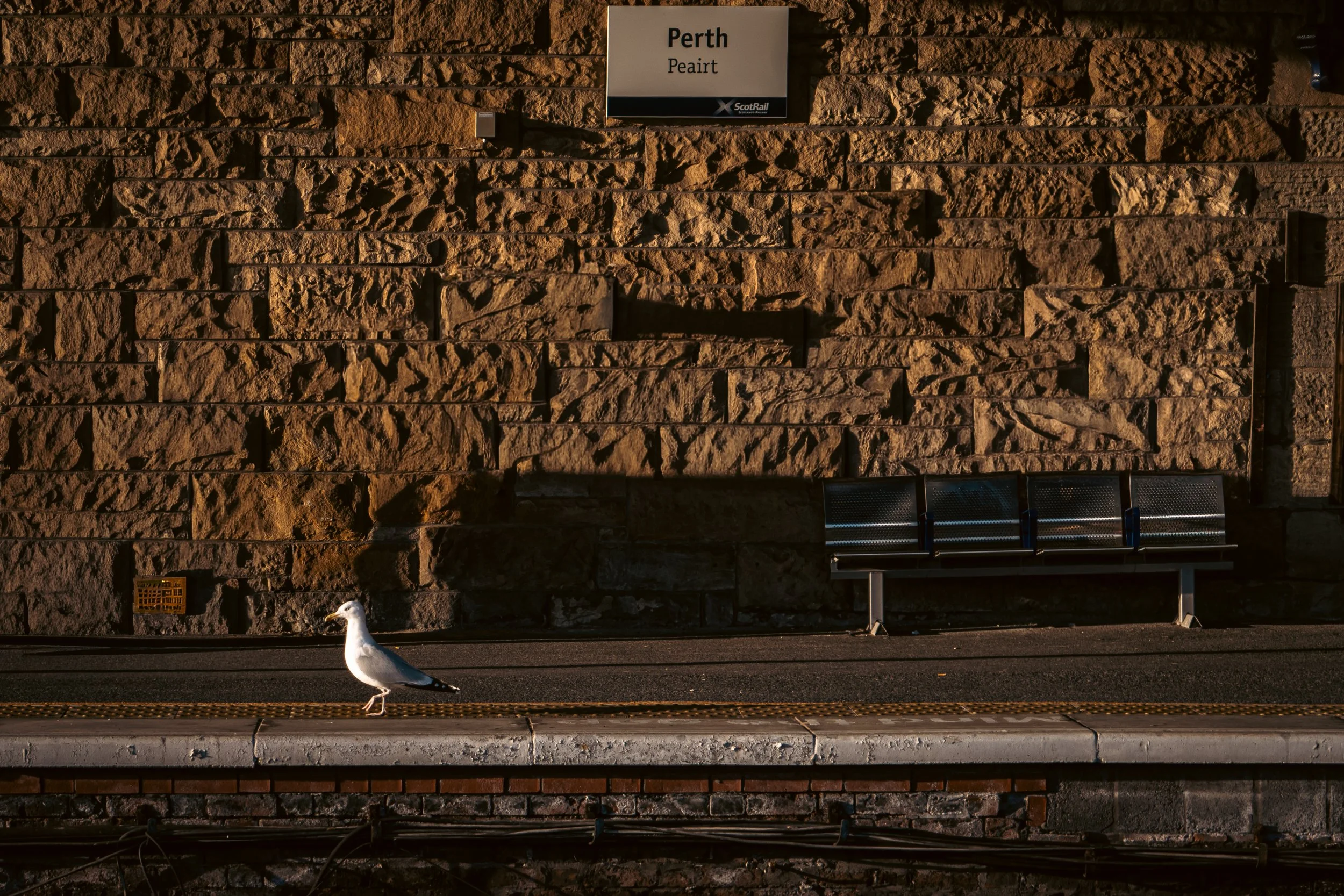 New Year, New Habits?