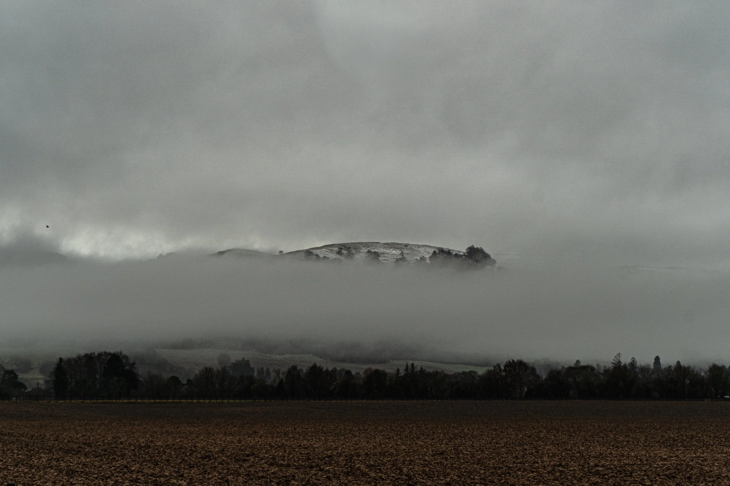 No Regrets……..!!