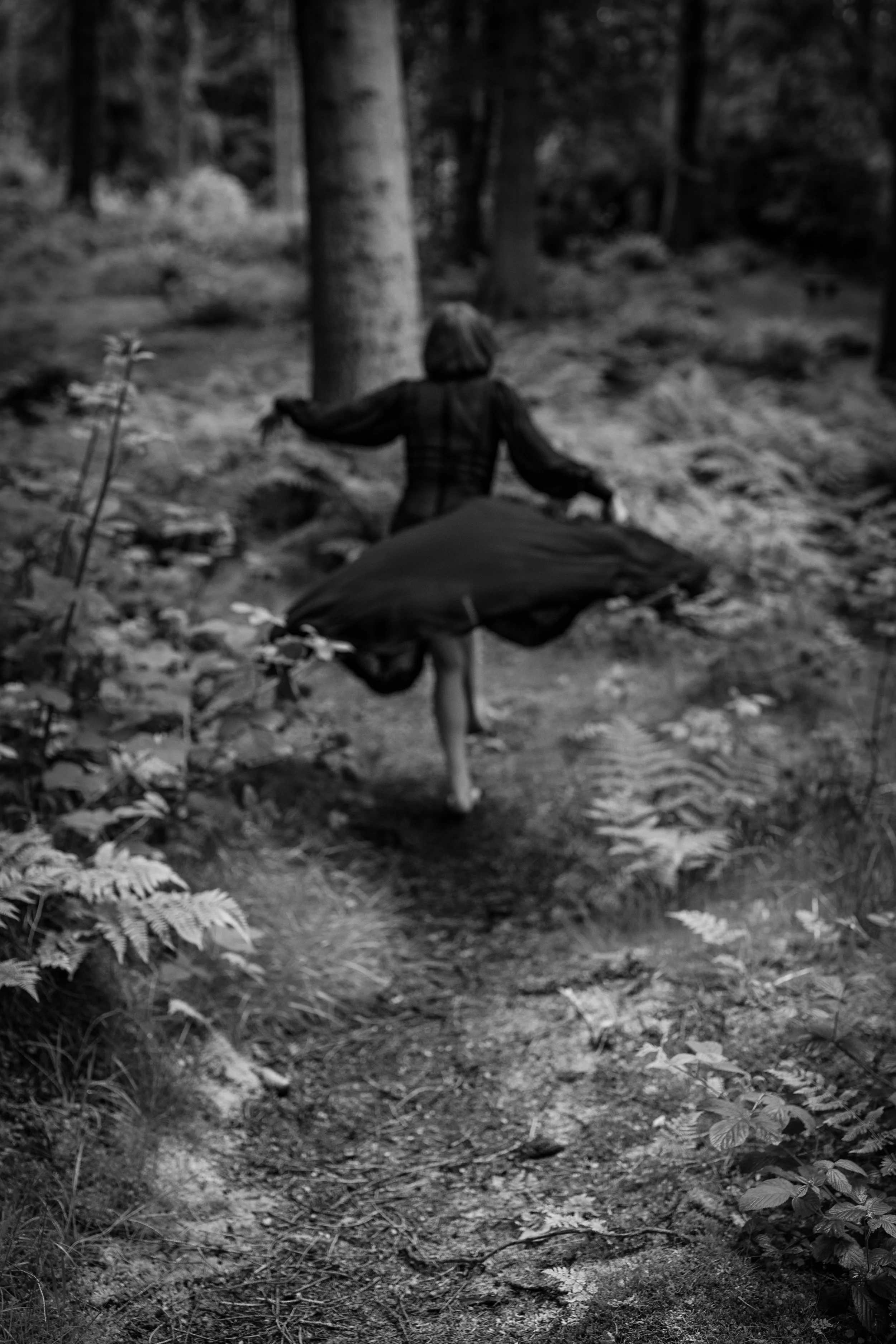 Wild, Free & Completely Her Choice: A Forest Boudoir Session at Kinnoull Hill