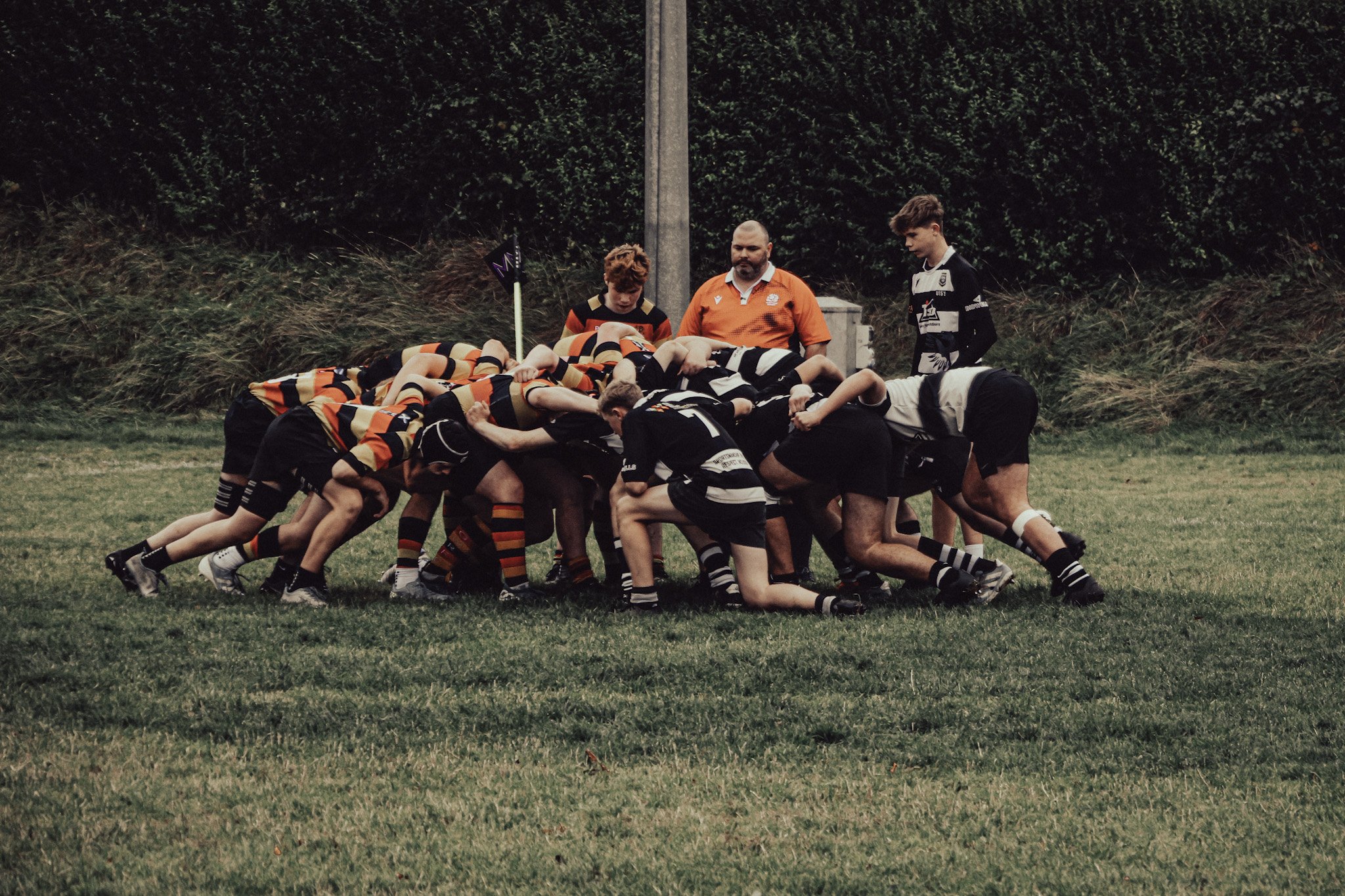 Rugby players in a scrum on a grass field with referees watching.