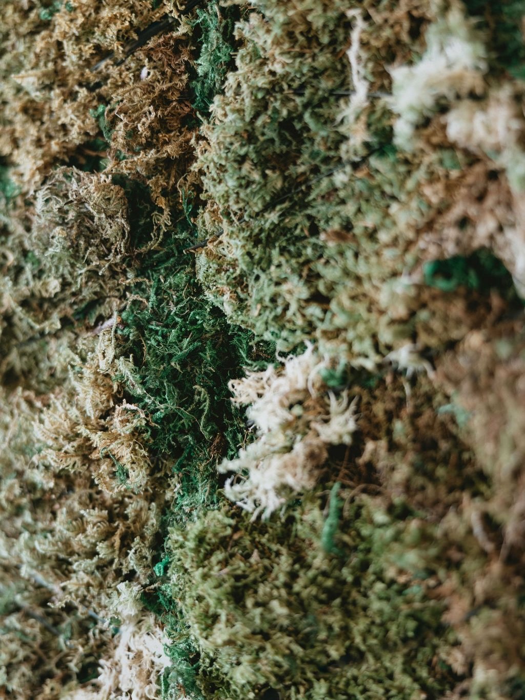 Sound ON you gorgeous ray of sunshine! 

Moss columns because we got cool clients 😎😎
Photo 1+2: @krutickphotography
