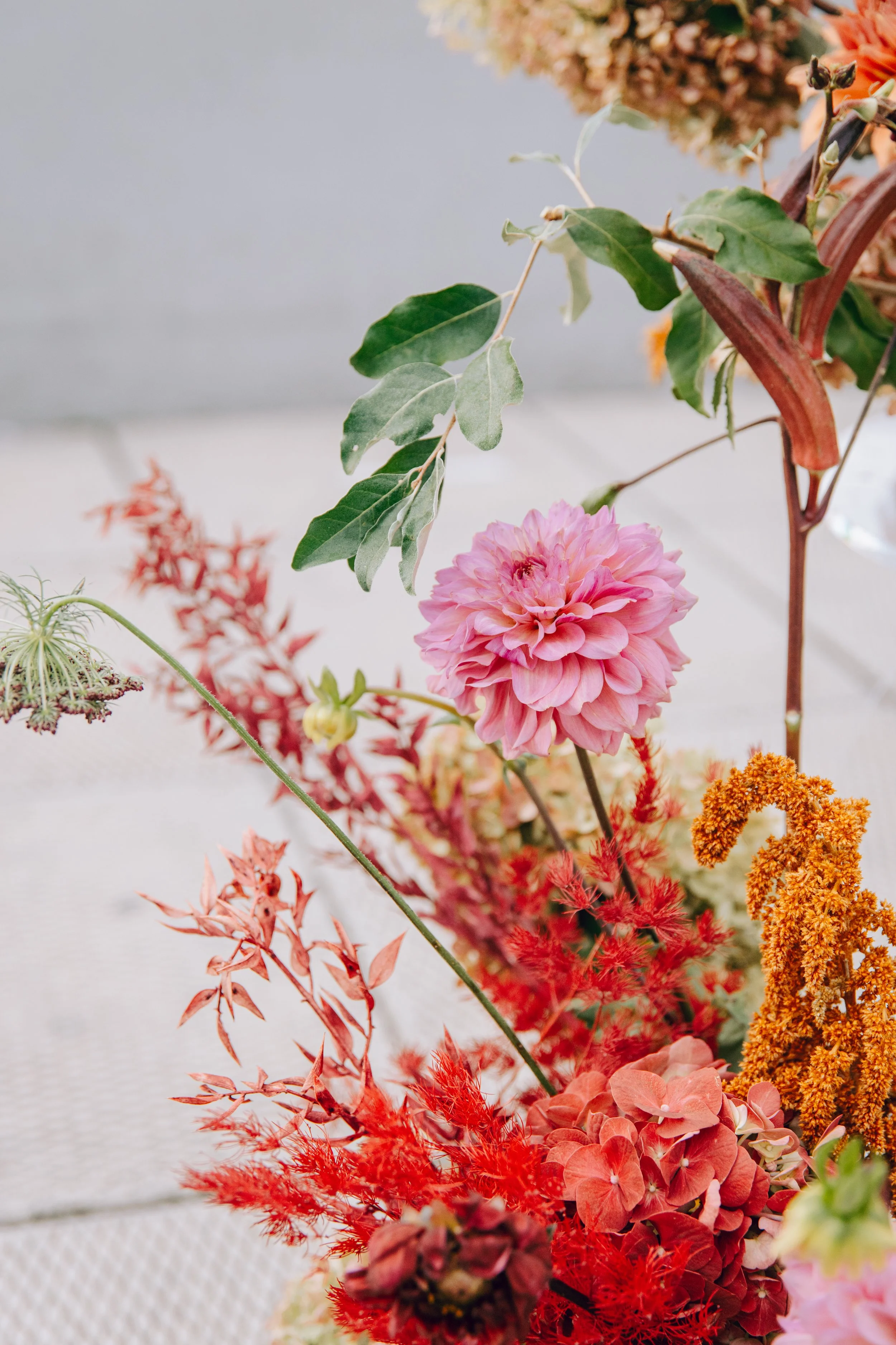 Various colorful flowers including pink, red, and orange blooms along with green leaves and stems on a white textured background. marigolds florals nyc florist wedding florals the w loft wedding pedestal wedding ceremony anthurium 
