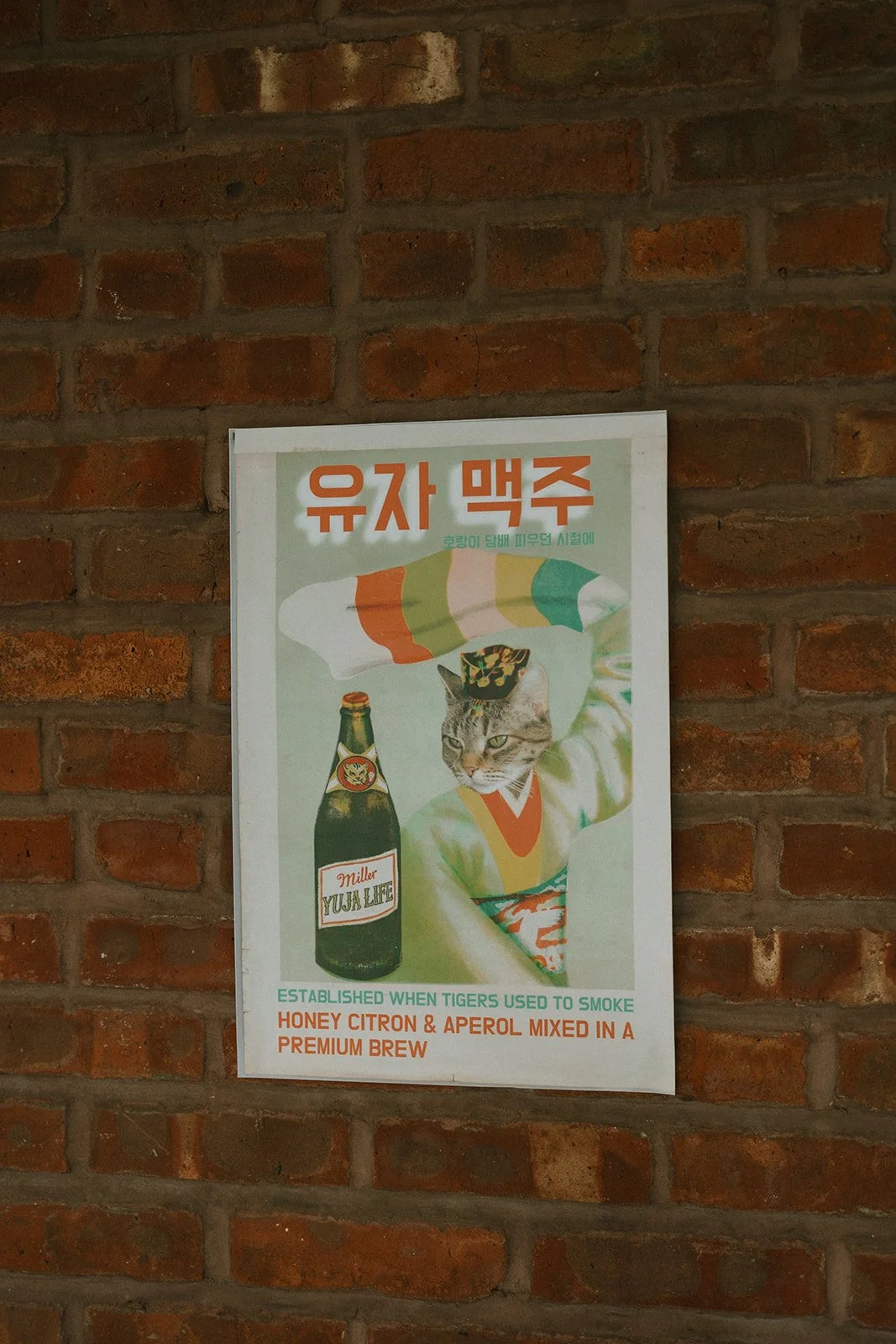 Poster on a brick wall depicting a cat with a human body in traditional Korean clothing, holding a bottle labeled 'Yuja Life.' The poster has Korean and English text promoting a honey citron and aperol mixed brew, marigolds florals