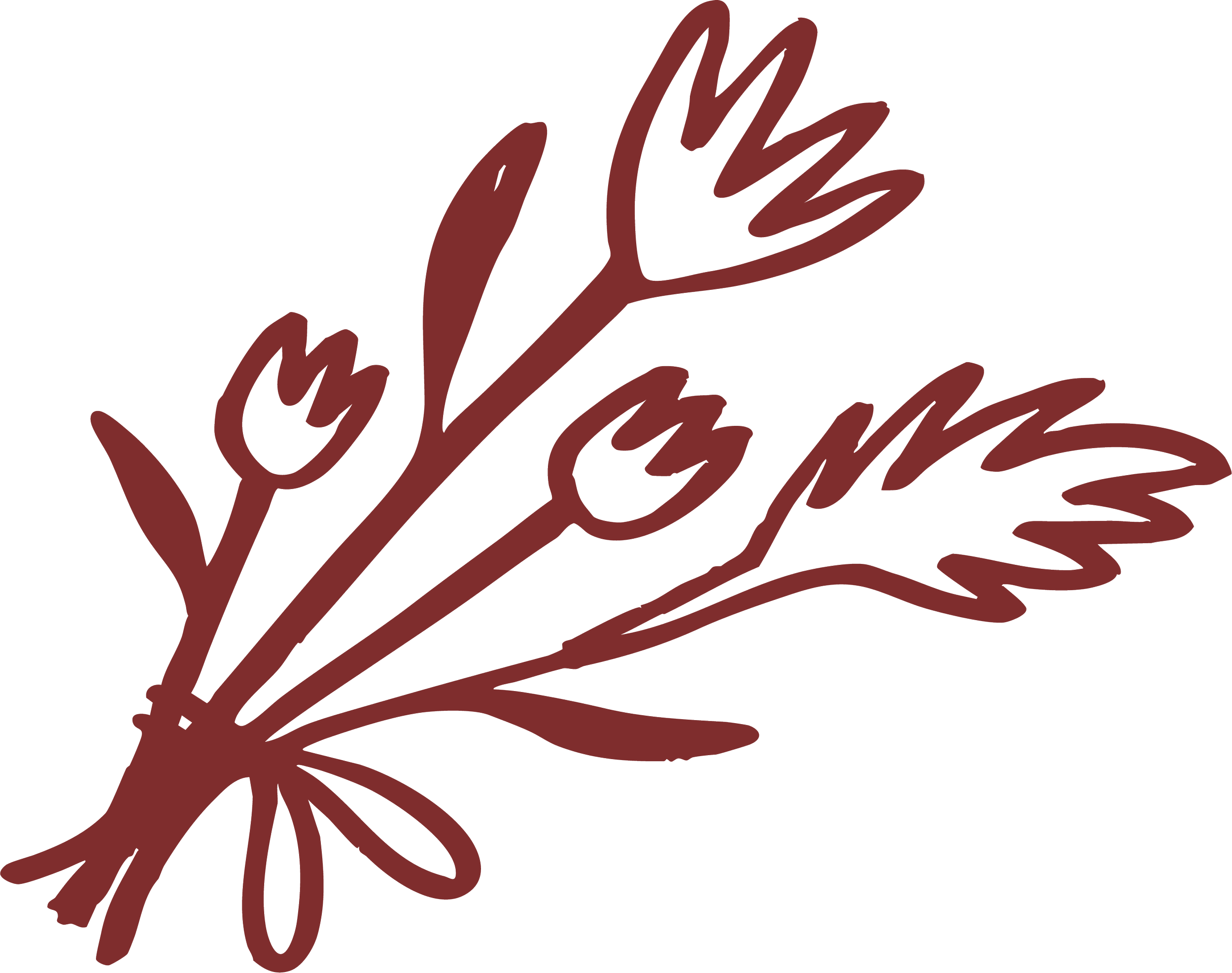 Illustration of a bunch of lavender flowers with long stems and narrow leaves, in a dark brown color.