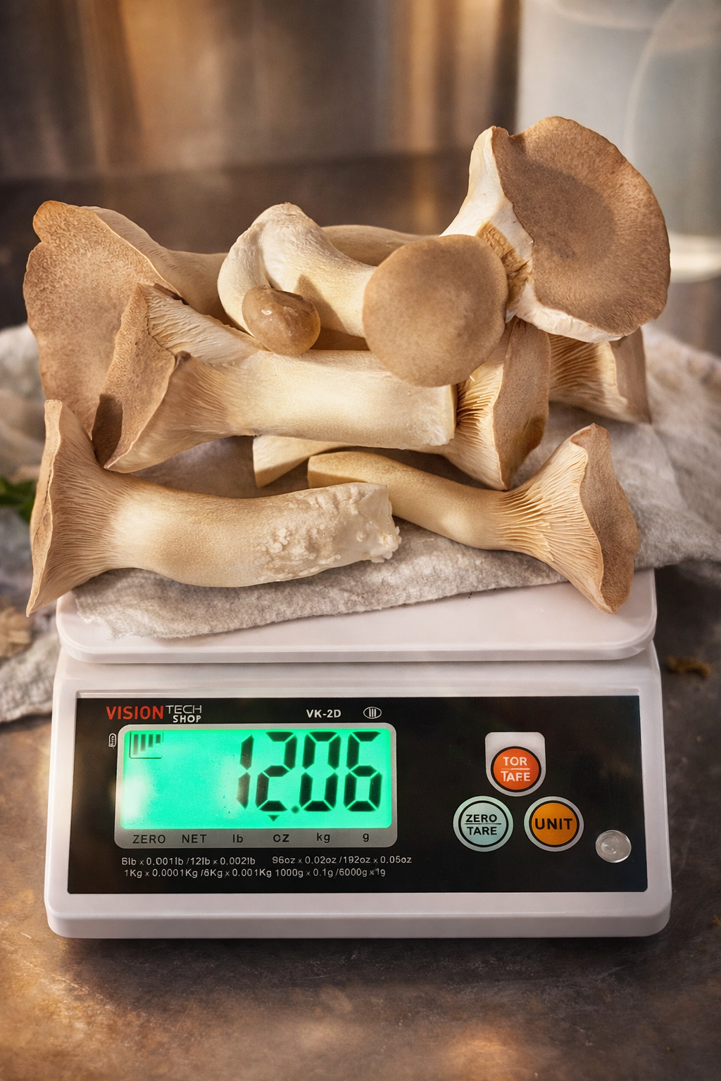 KingTrumpetChatGPT Image Jan 9, 2026 at 07_12_13 PM.png