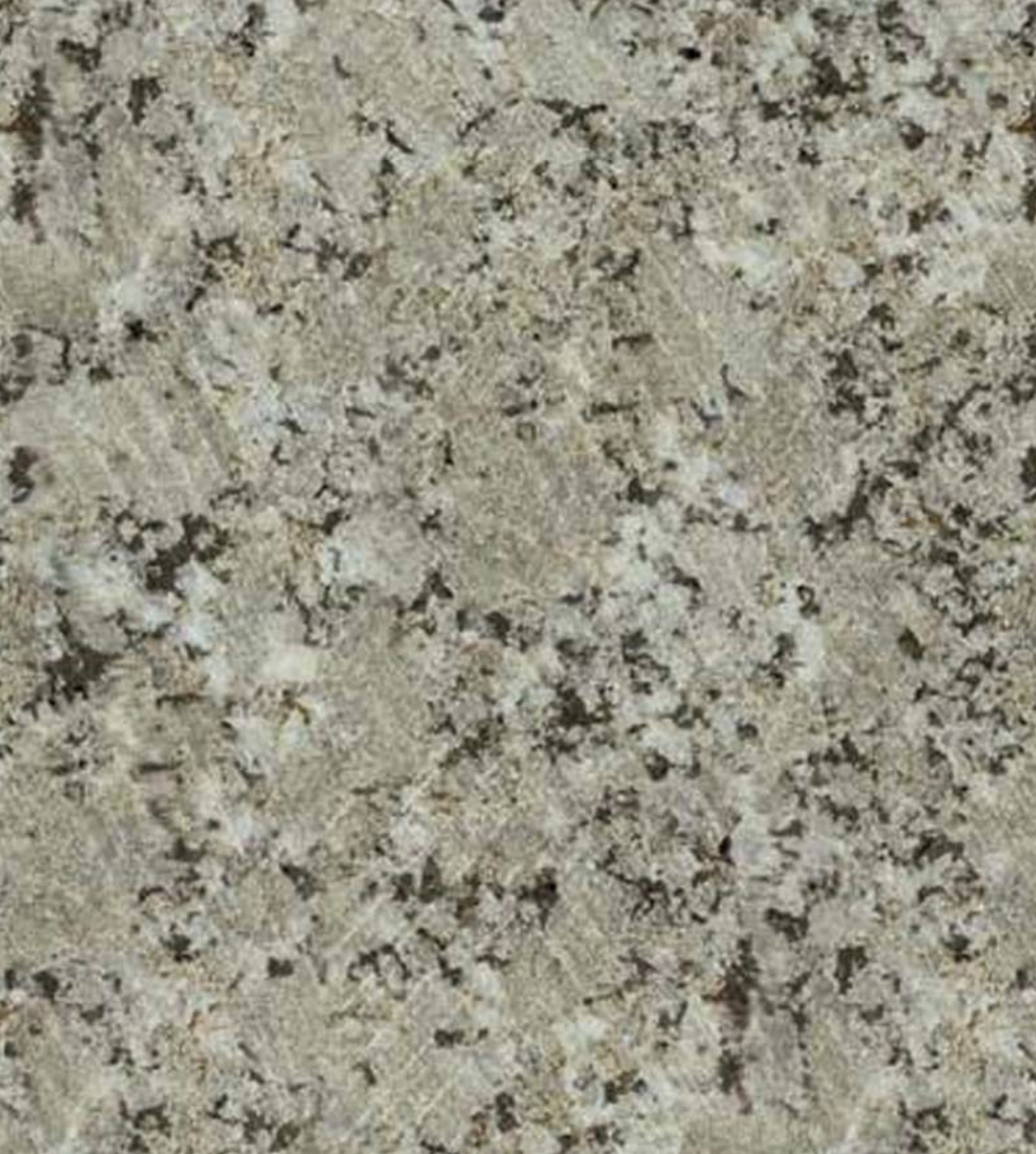 Mill Lane *Our Foundation Color