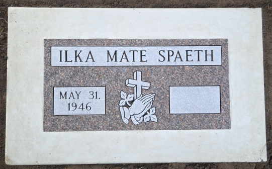 Screenshot 2026-01-14 162957.png