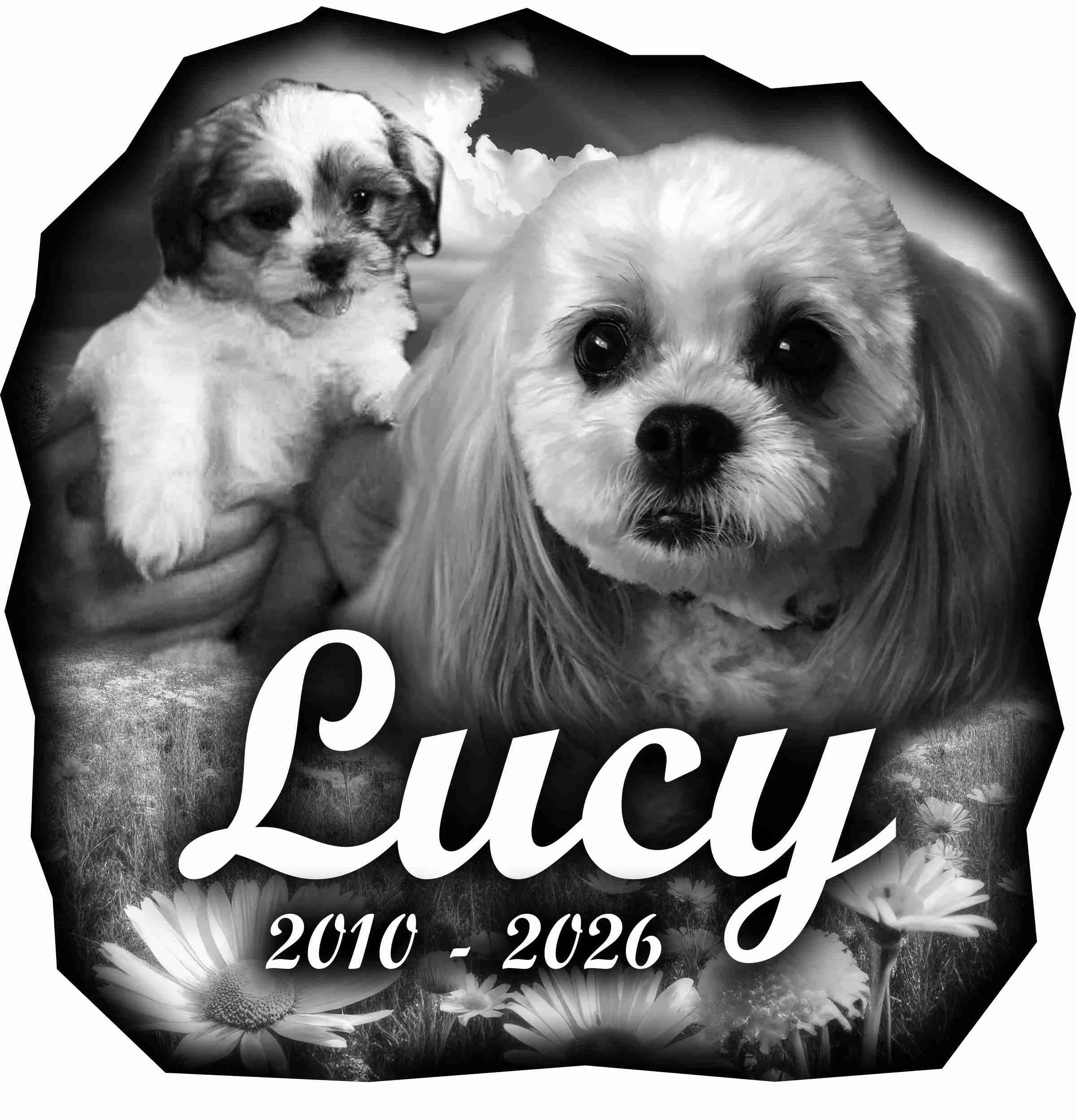 Voigt---Lucy RS (1).jpg