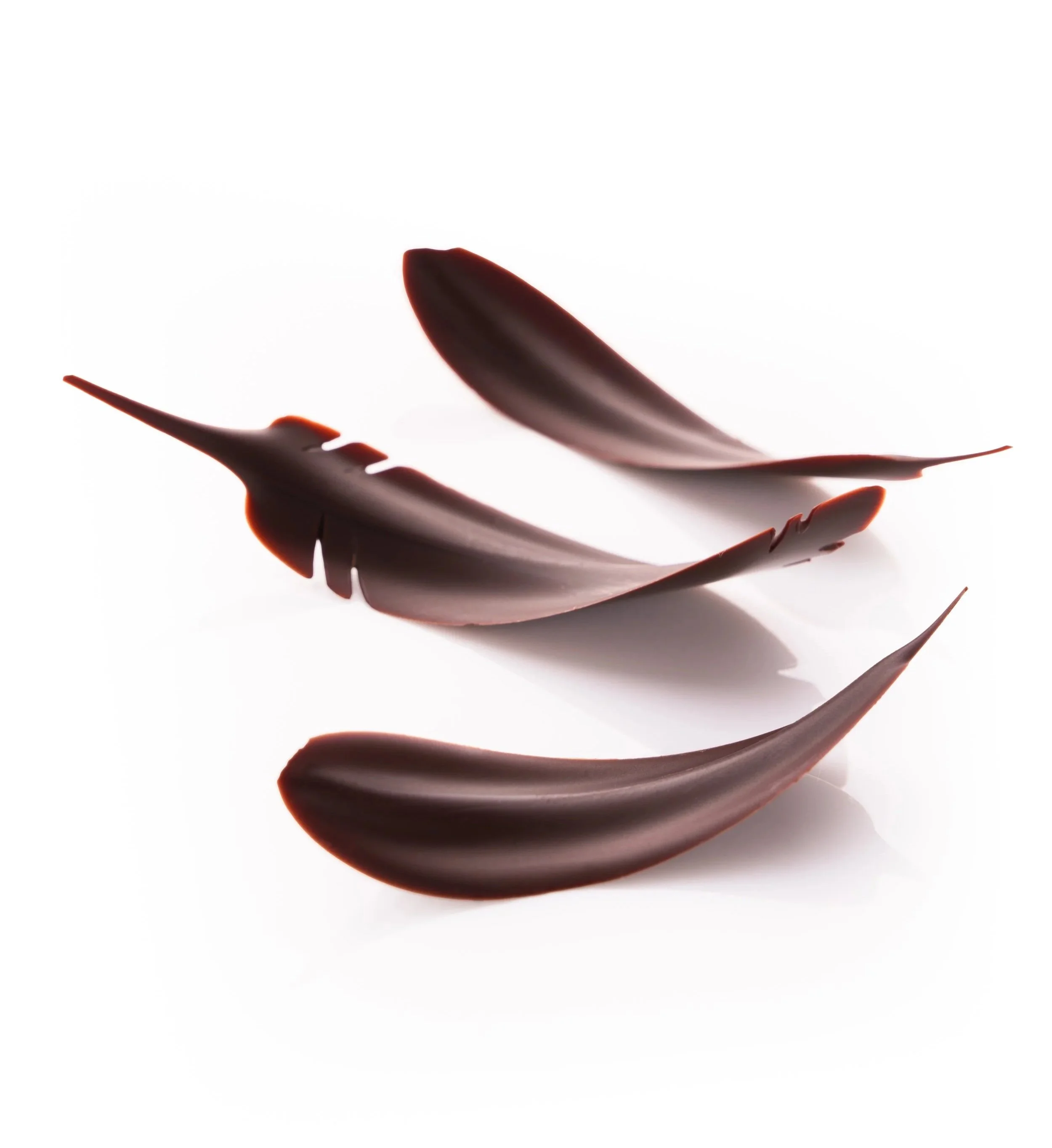FeatherChocoDecor-Artisitc-ChocoBasics-Photo-V01.jpg