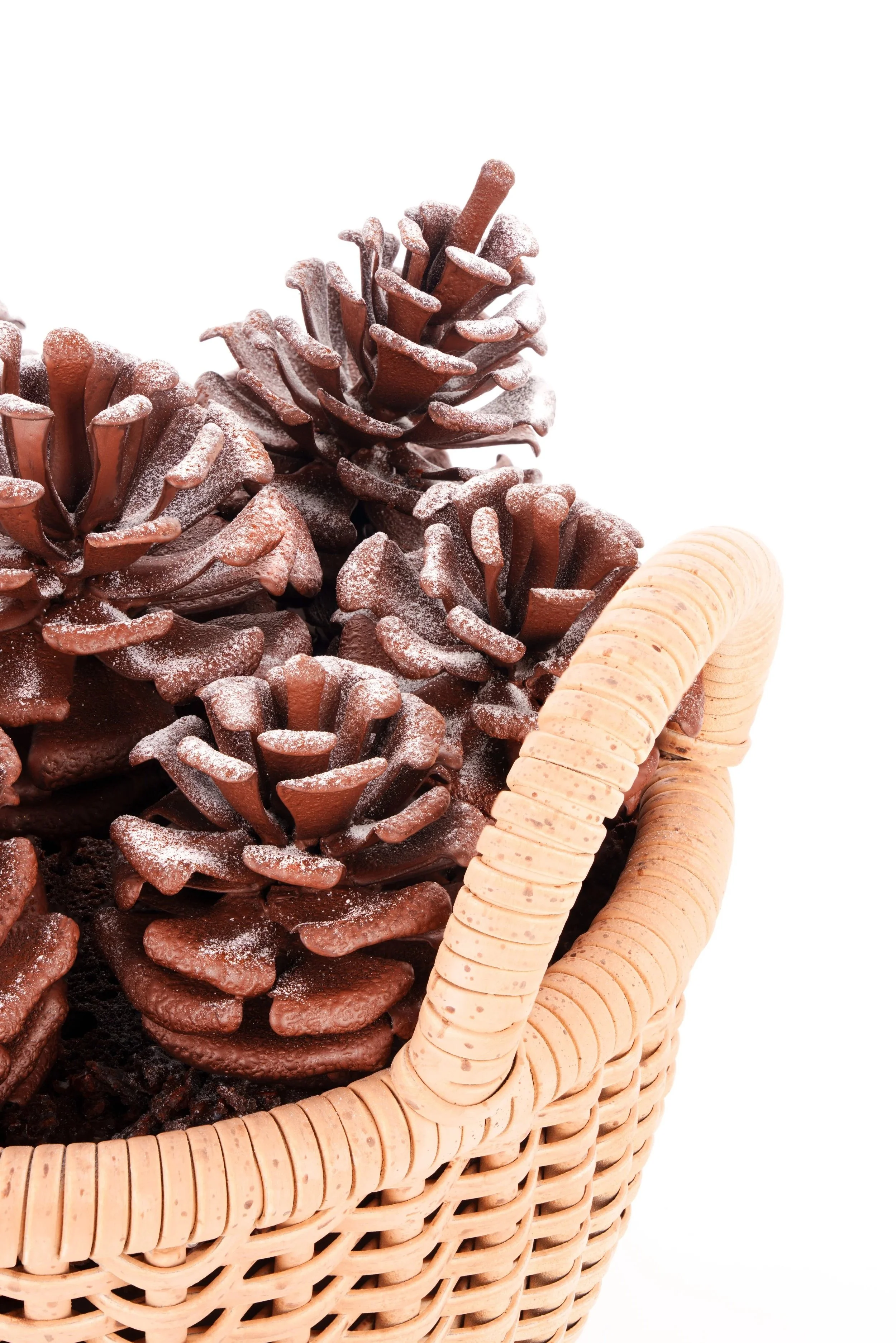 Pinecones_Close_102225.jpg