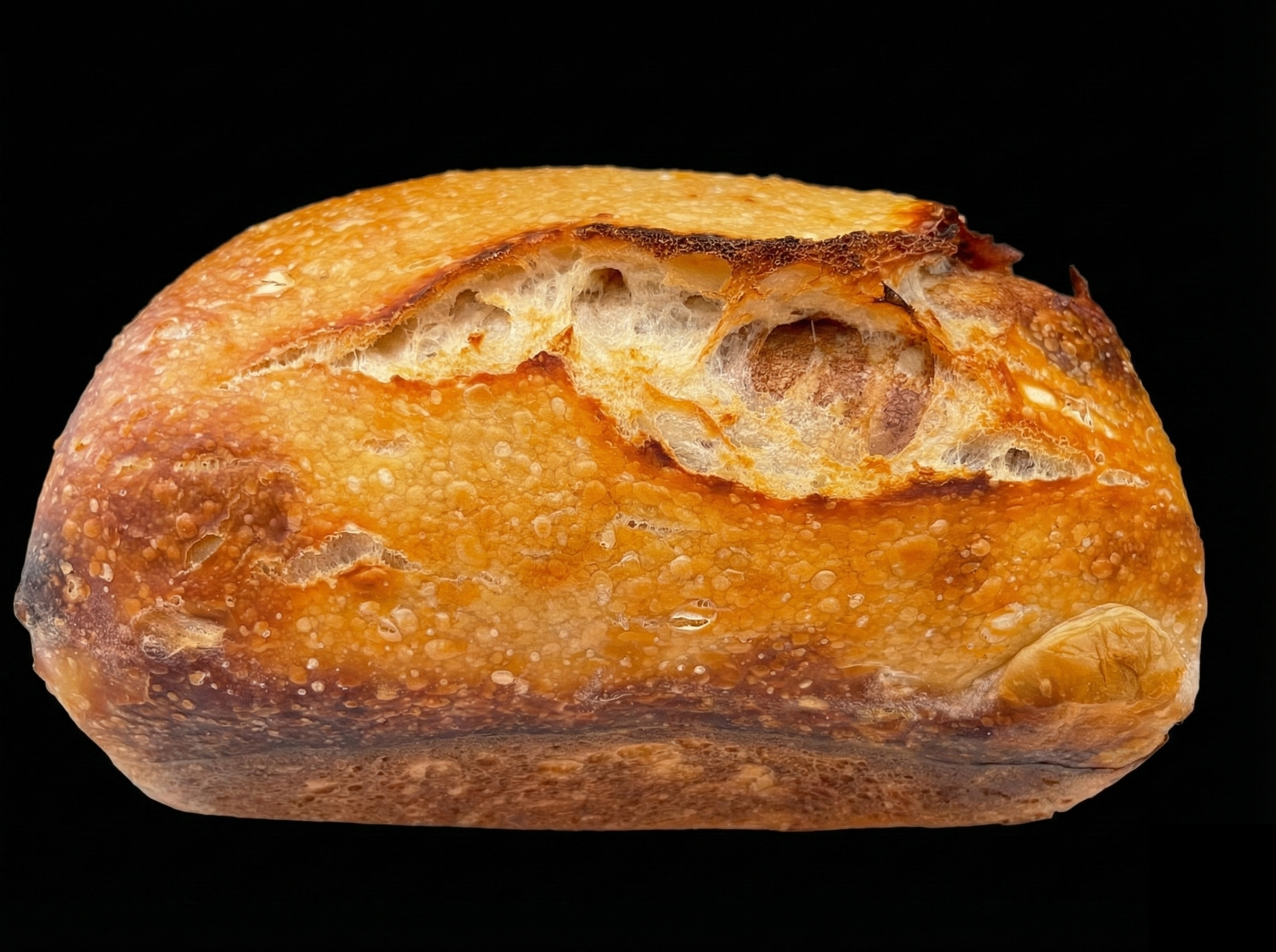 Organic cinnamon brown sugar swirl sourdough