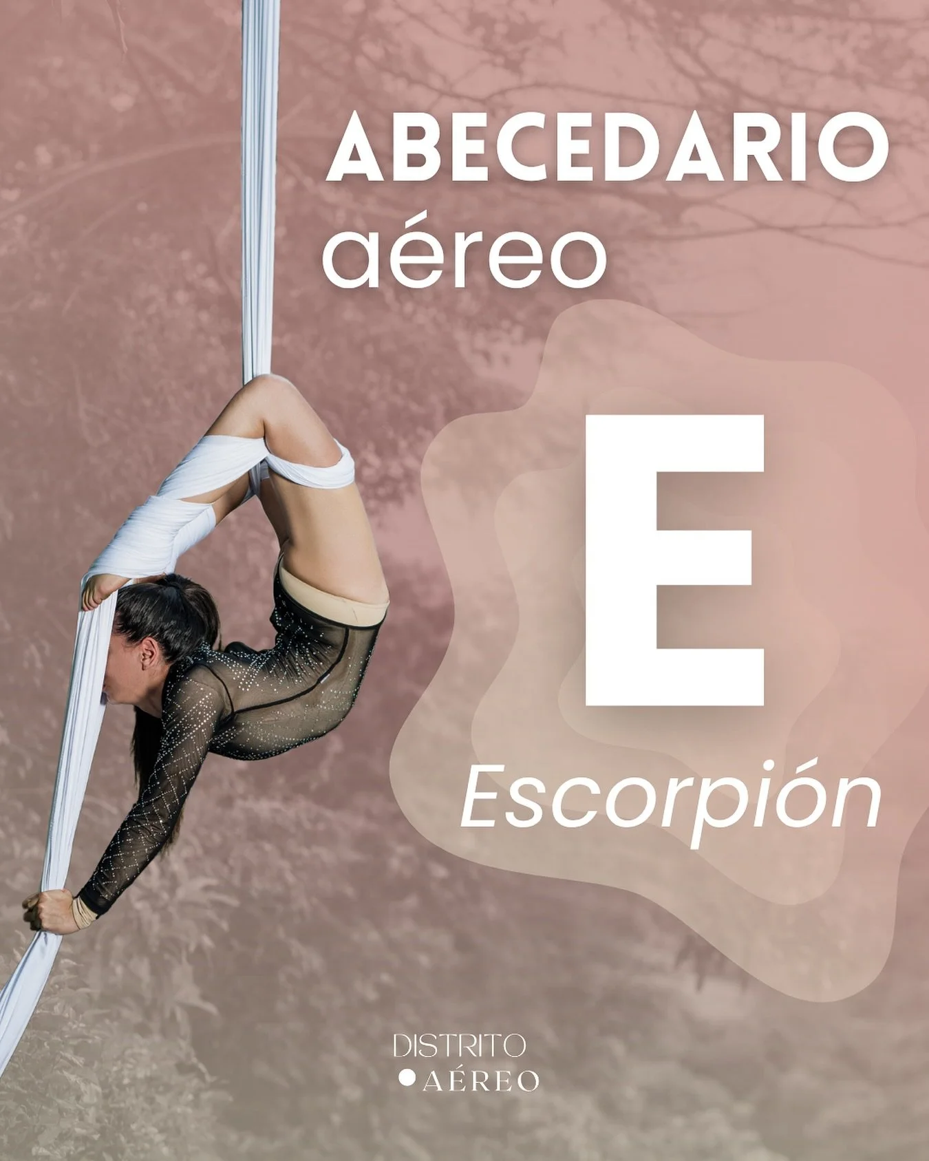 &iexcl;AbdcE, de Escorpi&oacute;n! 🦂✨
 Una de las figuras favoritas del aire: poderosa, elegante y retadora. El cuerpo se suspende en las telas con las piernas extendidas hacia arriba y curvadas, mientras el torso cae en una l&iacute;nea suave hacia
