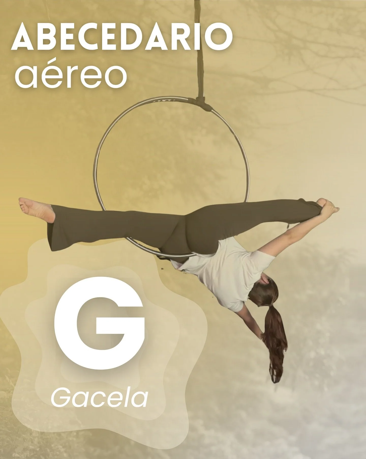 G de Gacela ✨

Elegancia, fuerza y control en una sola figura. La Gacela es una posici&oacute;n clave en t&eacute;cnica a&eacute;rea, ideal para mejorar extensi&oacute;n, l&iacute;neas y fluidez.
En clase trabajamos: ✅ Gacela b&aacute;sica ✅ Variacio