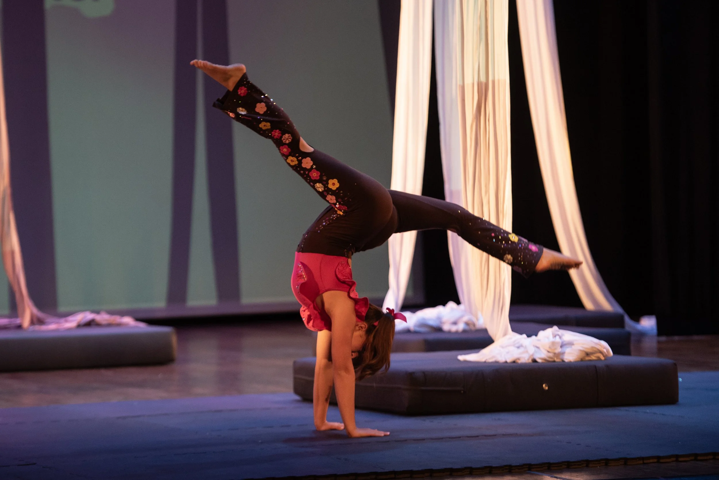 Acrobacia para Aerealistas