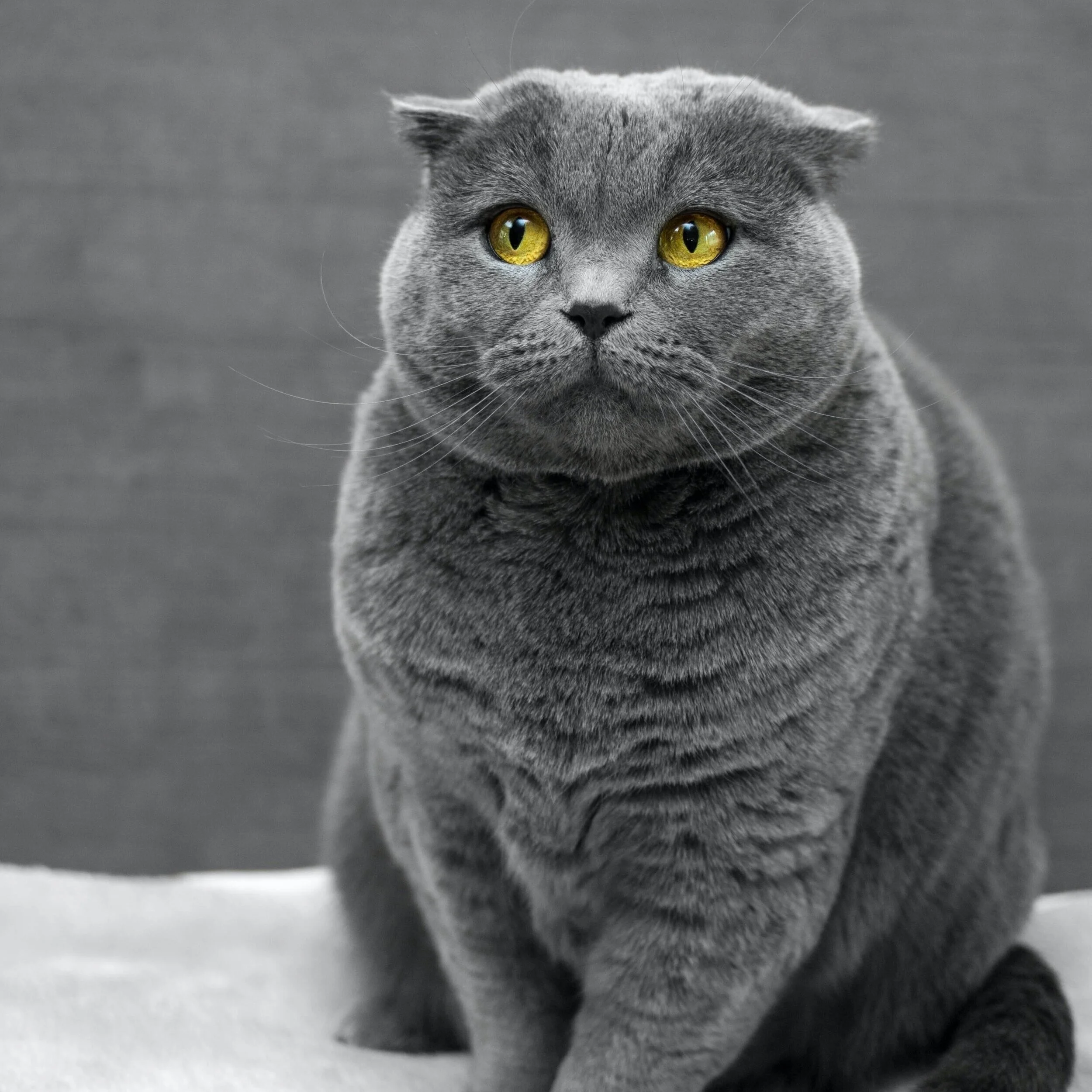 Informative Interview